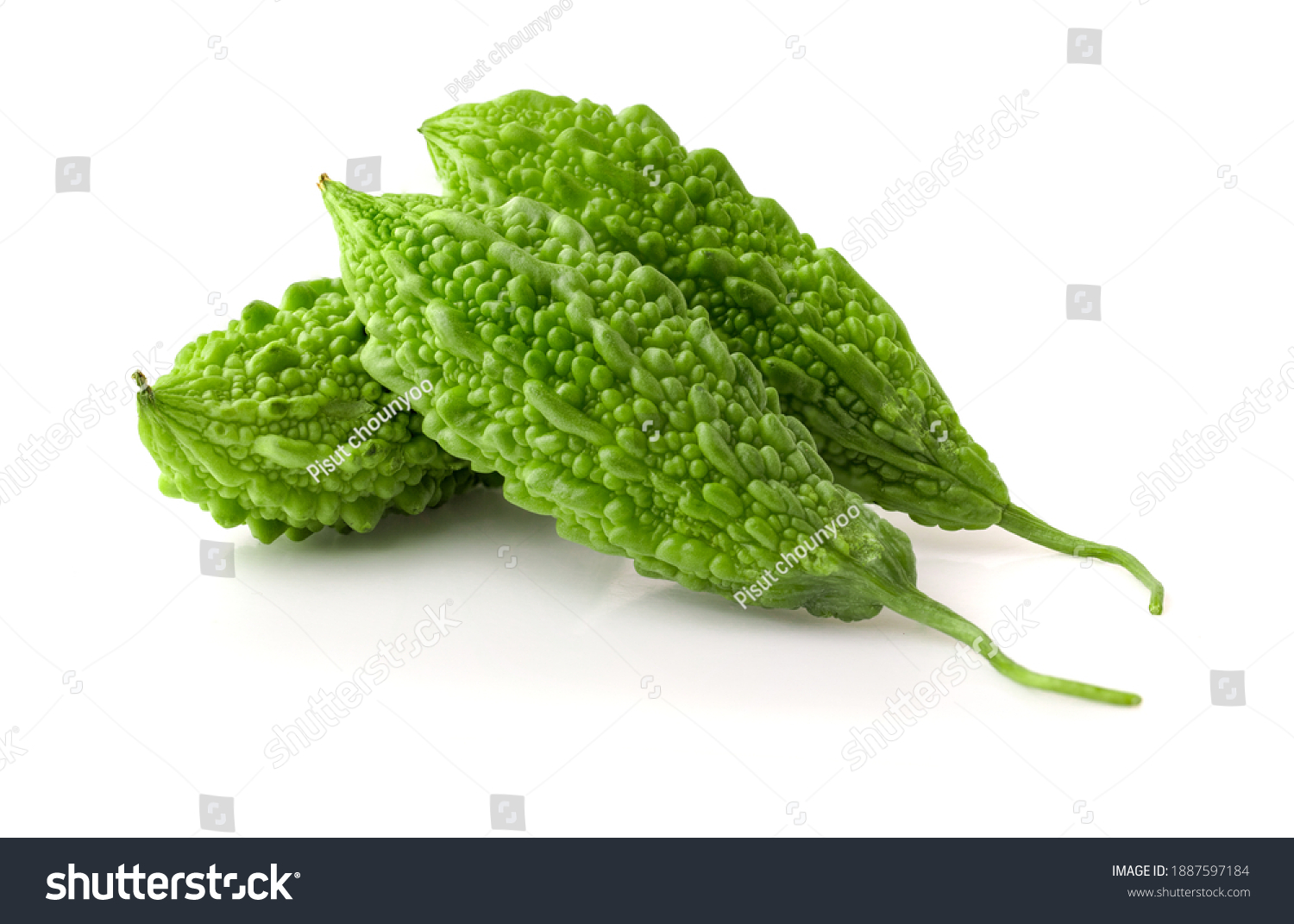 Bitter Gourd Isolated On White Background Stock Photo 1887597184 