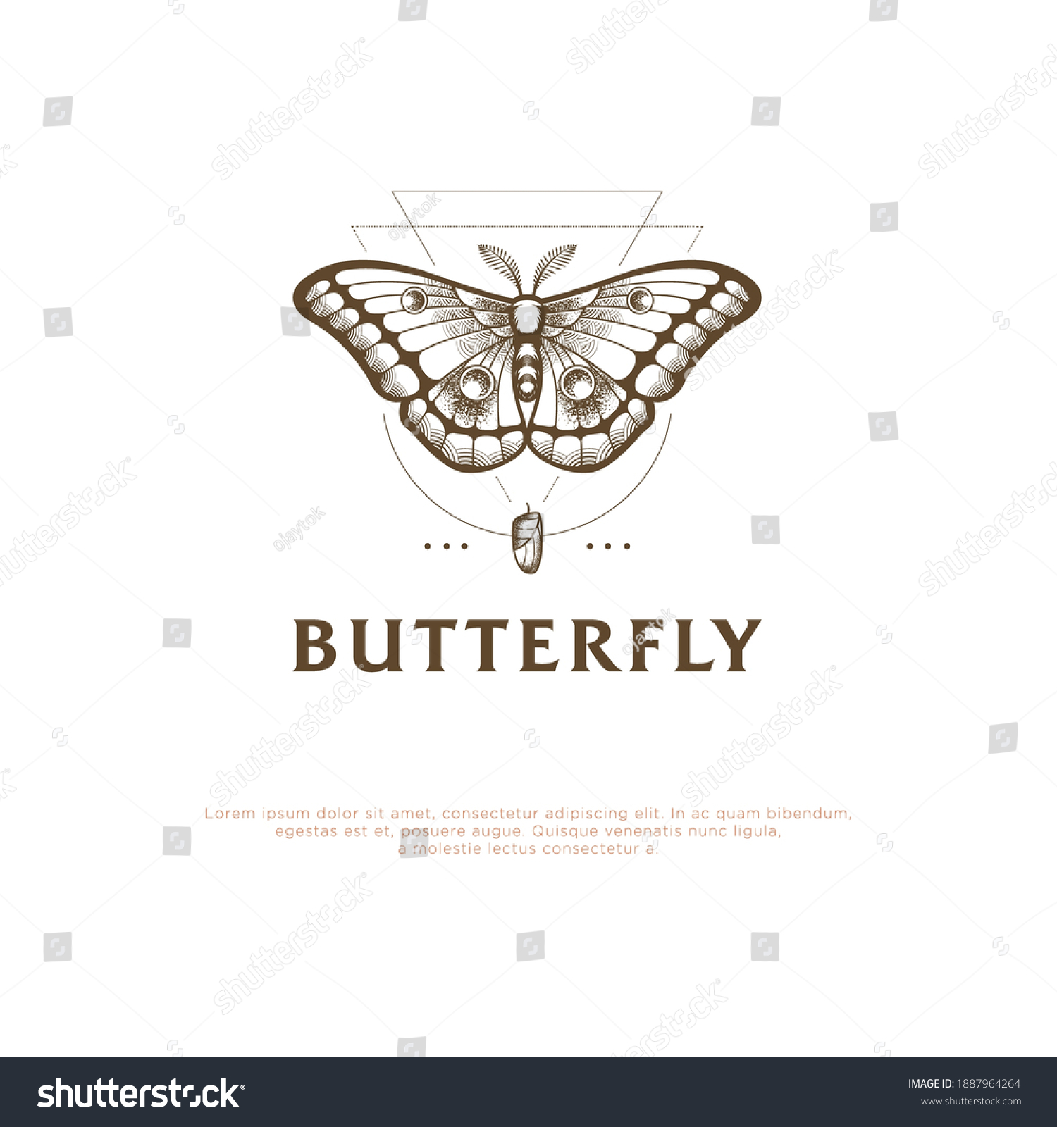 Vintage Butterfly Vector Logo Designs Stock Vector (royalty Free 