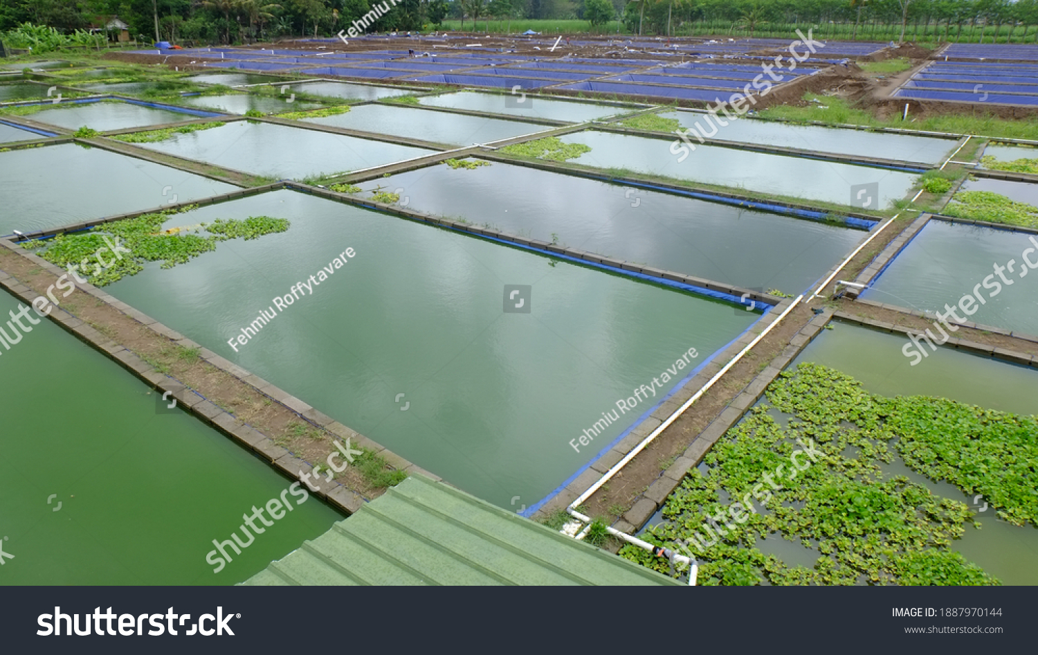 Pond Fish Farming Images Stock Photos Vectors Shutterstock