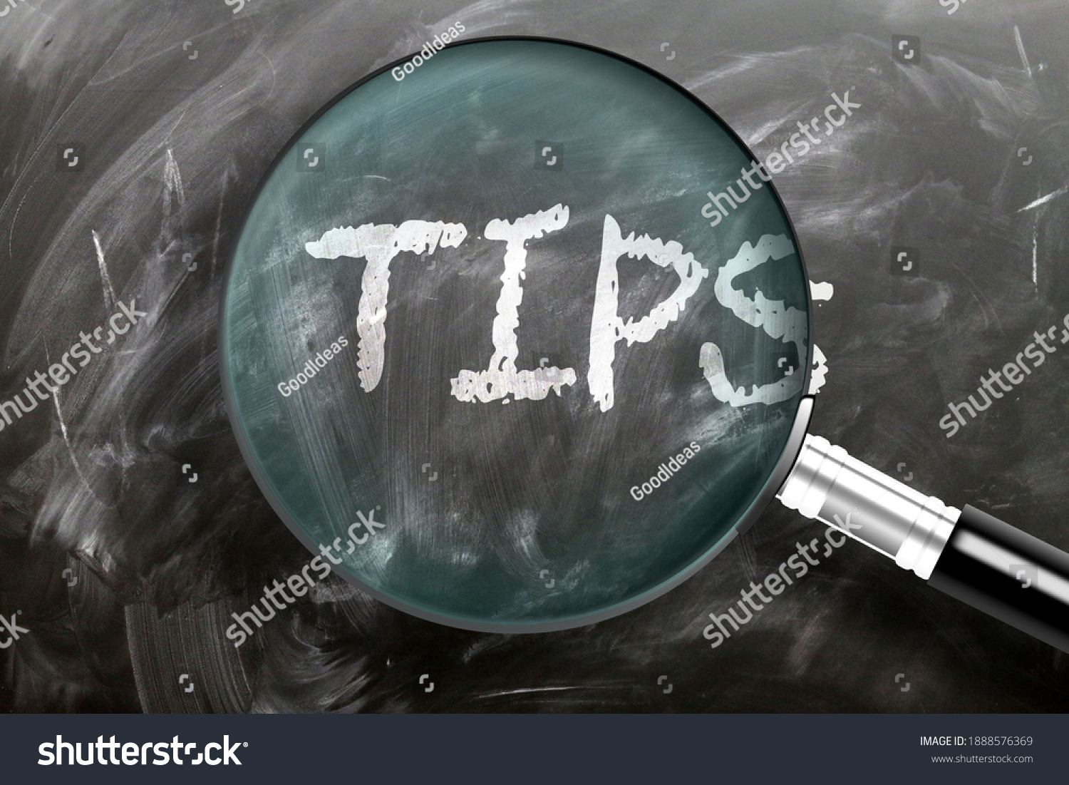 Learn Study Inspect Tips Pictured Magnifying Stock Illustration ...