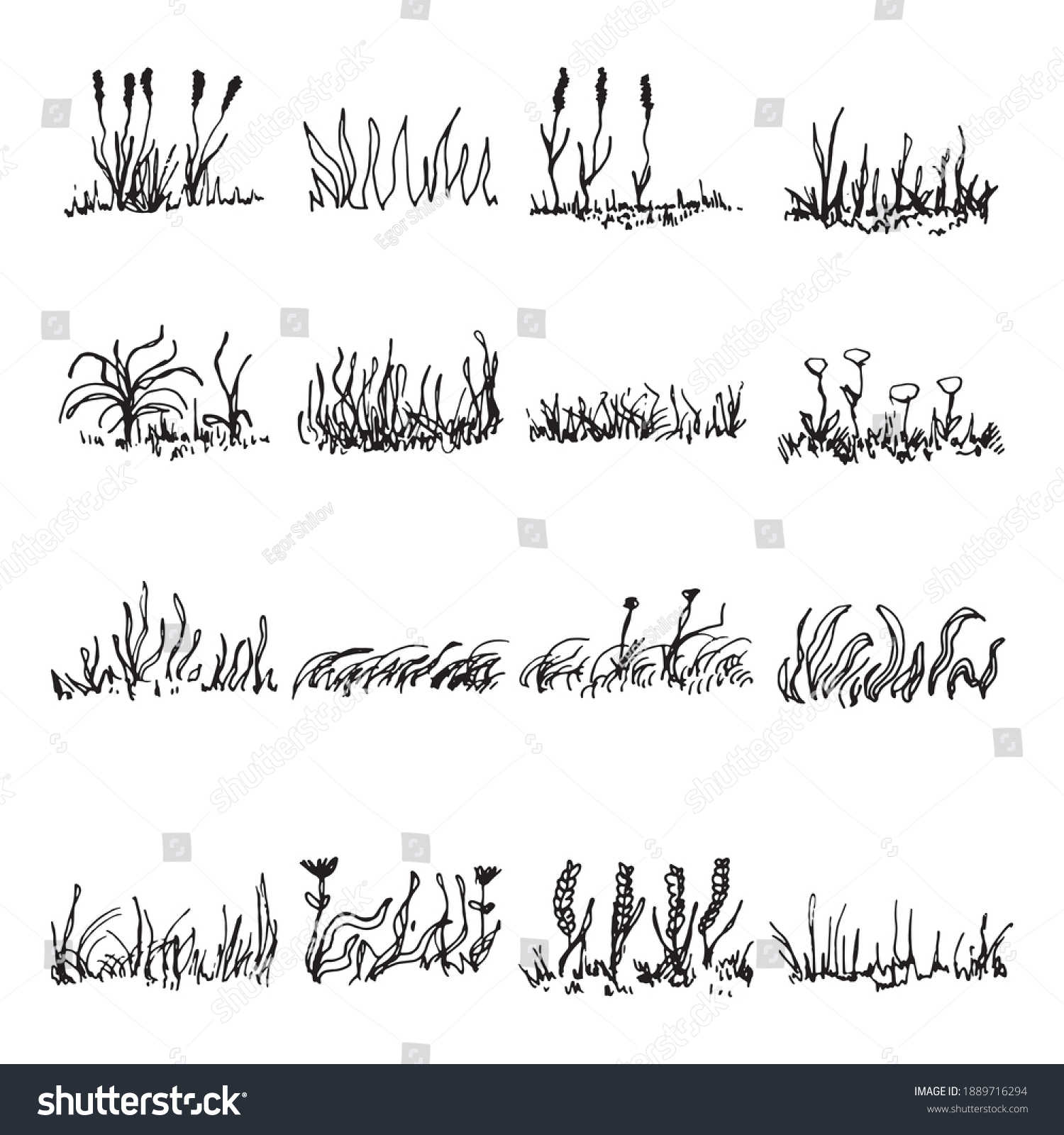 Grass Plants Silhouette Vector Stock Vector (Royalty Free) 1889716294 ...