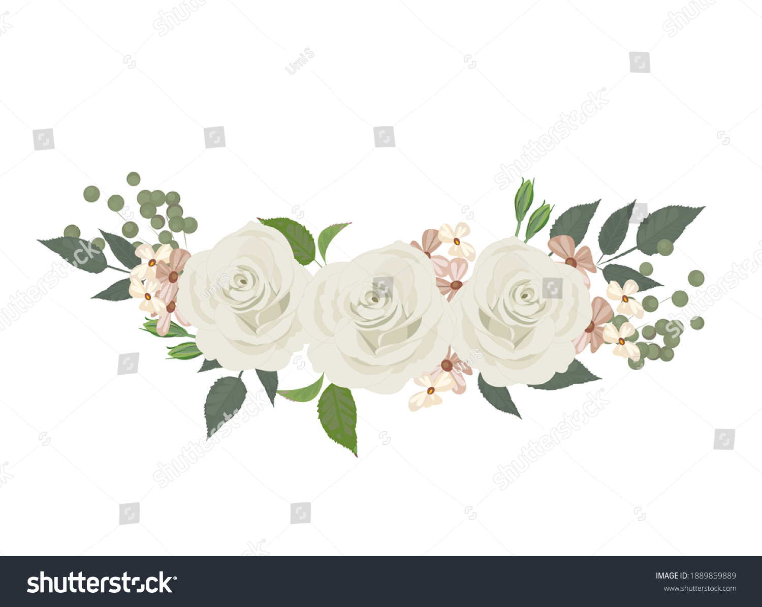 Illustration White Roses Wedding Others Stock Vector (Royalty Free ...