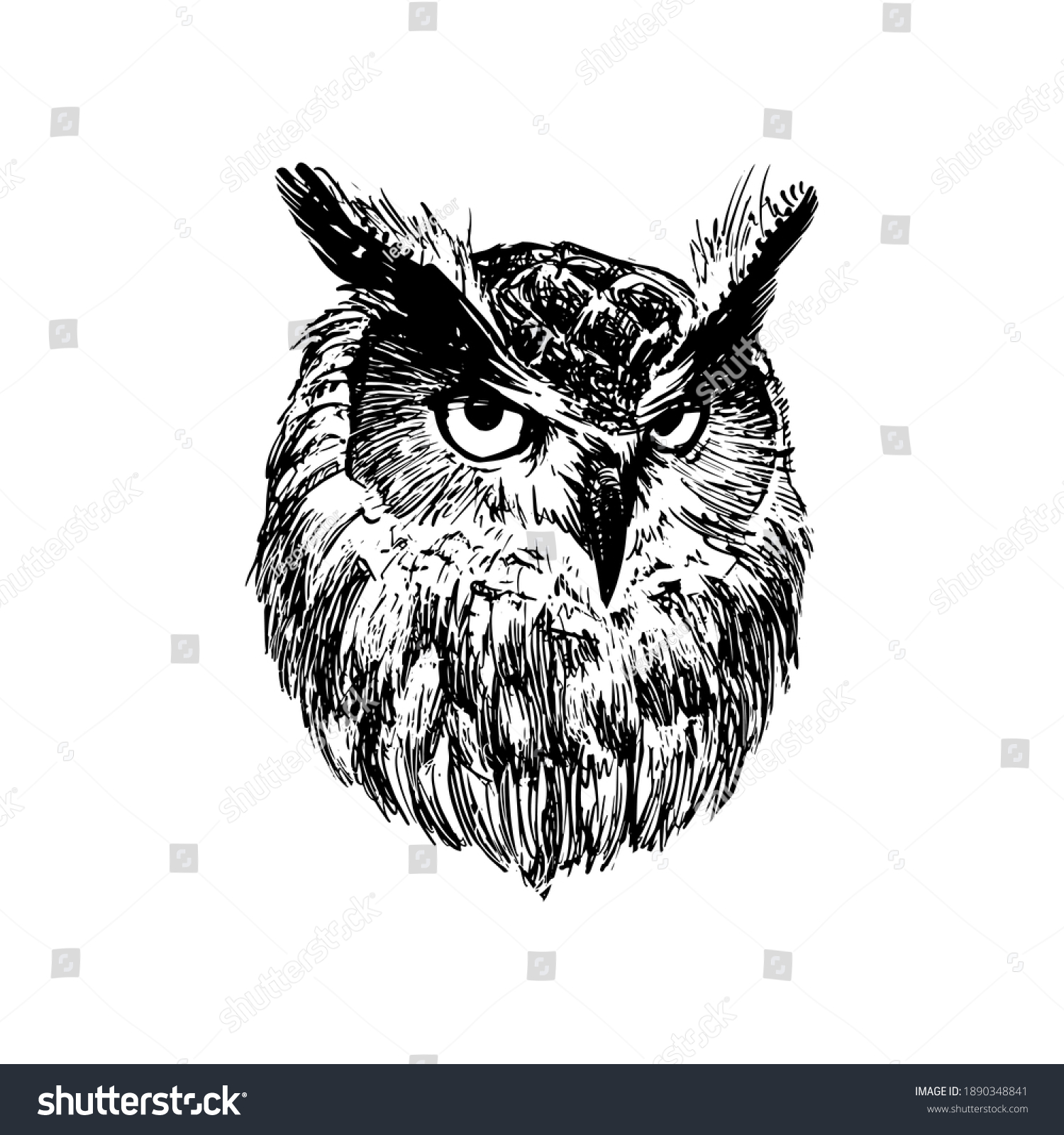 Owl Head Graphic Ink Drawing Printing Stock Vector (Royalty Free ...