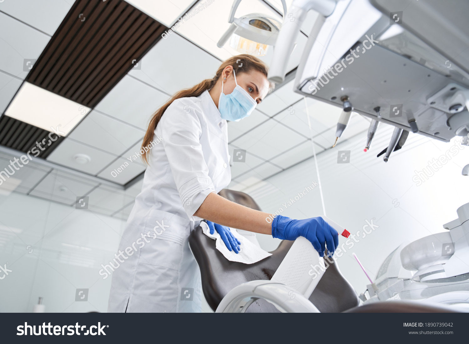 Dentist Sterilize Medical Equipment Inside Dental Stock Photo 1890739042 Shutterstock