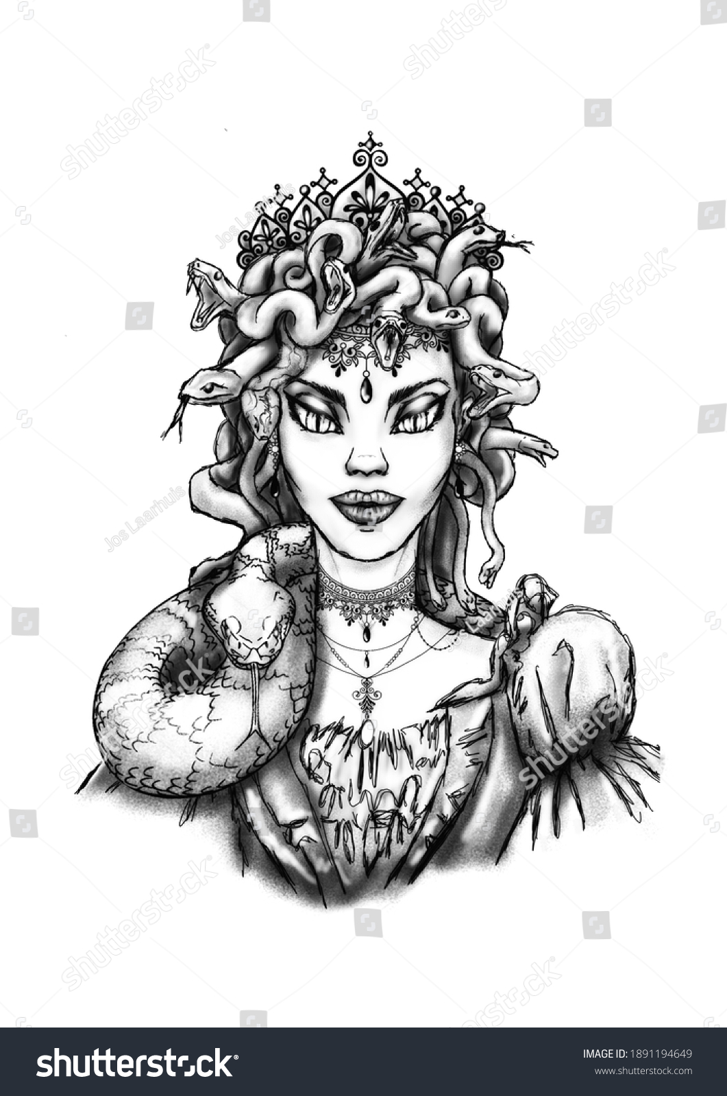 Medusa Drawing Light Shade No Background Stock Vector (Royalty Free ...