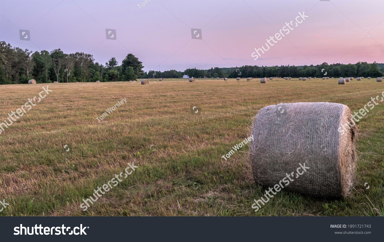 hay-bale-farm-field-stock-photo-1891721743-shutterstock