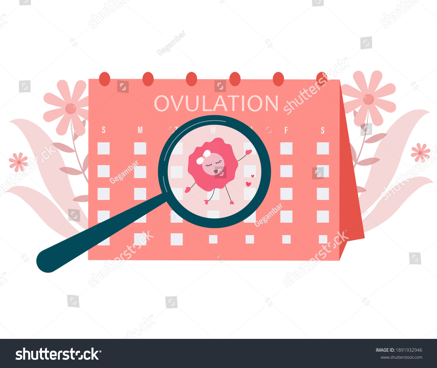 Ovulation Concept Illustration Female Fertility Getting Stock Vector Royalty Free 1891932946 2304