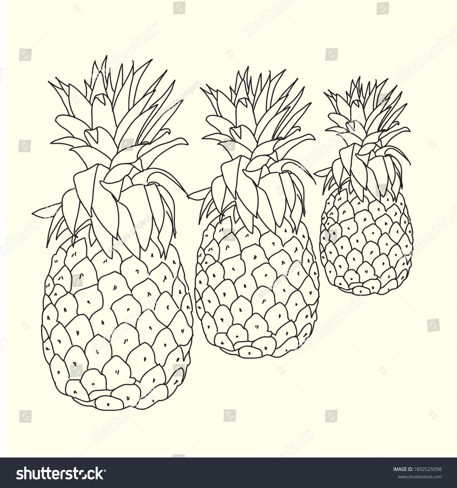 Three Pineapples Line Art Design Stock Illustration 1892525098 ...