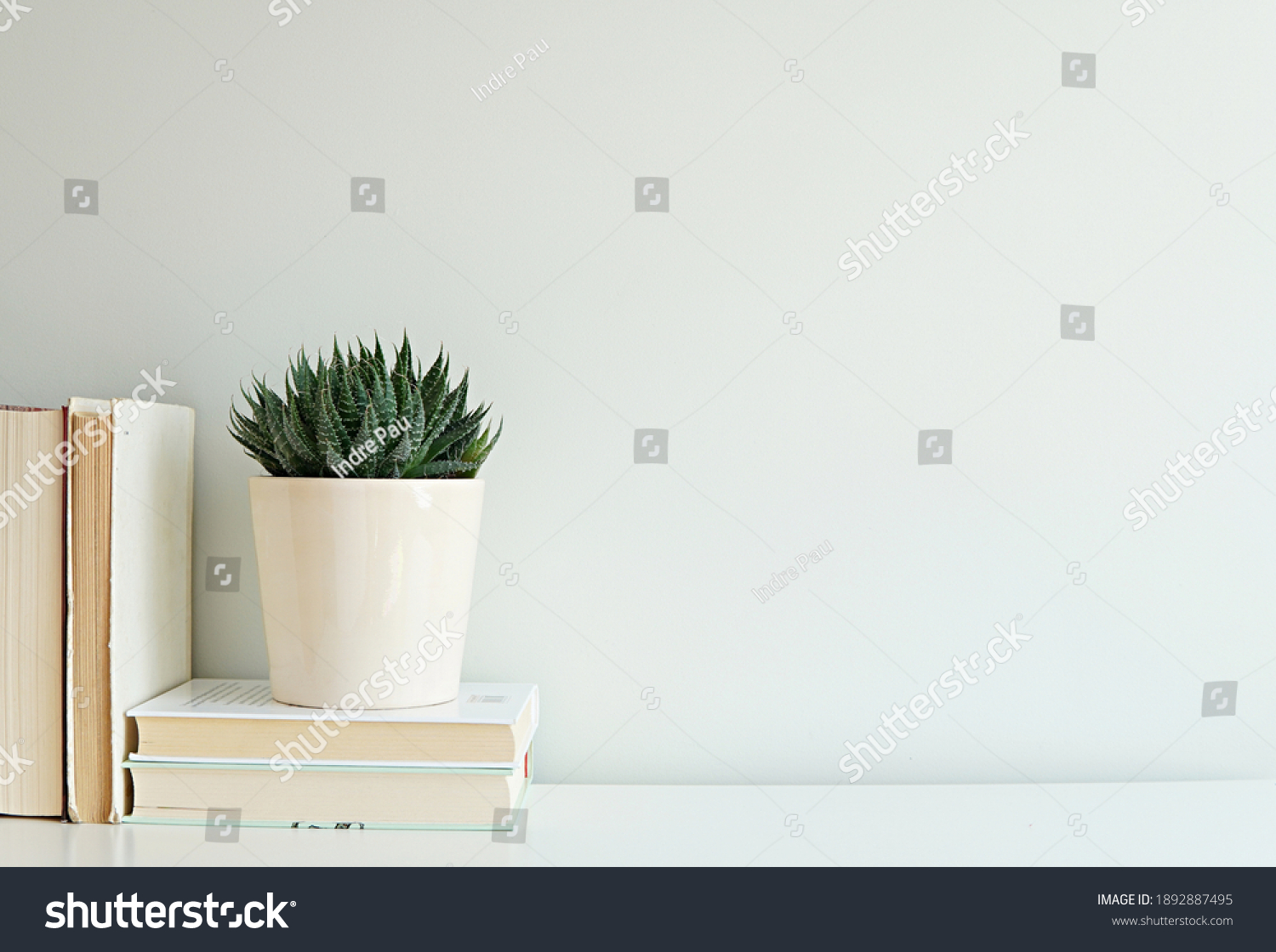 Empty White Wall Mockup Shelf Books Stock Photo 1892887495 | Shutterstock