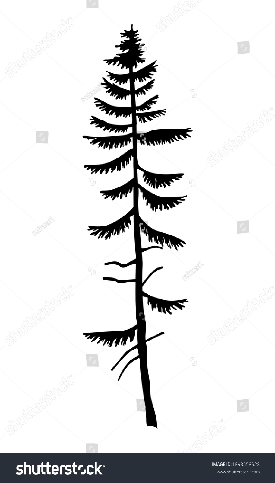 Black Silhouette Firtree Hight Black Pine Stock Vector (Royalty Free ...