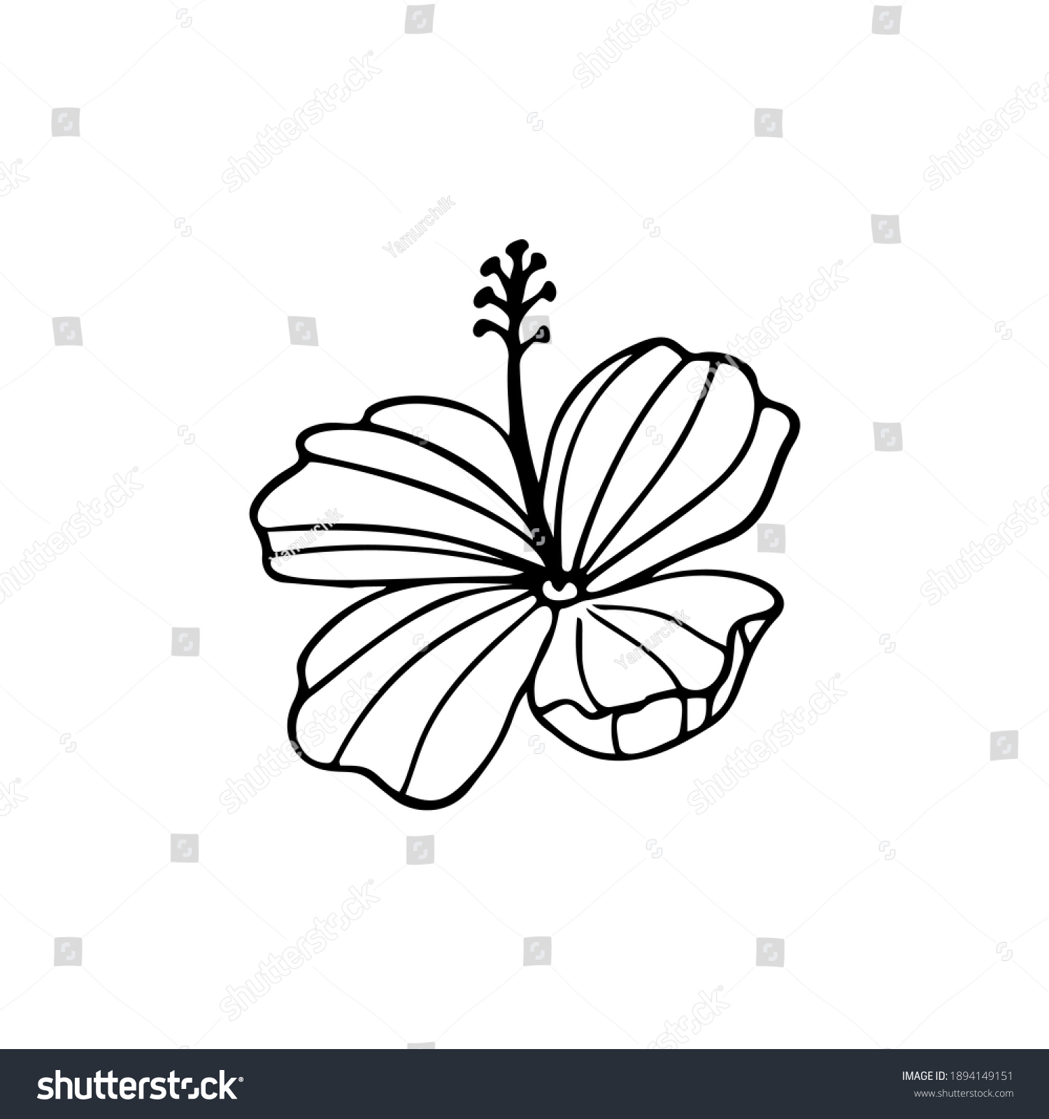Hibiscus Flower Outline Hibiscus Line Art Stock Vector (Royalty Free ...