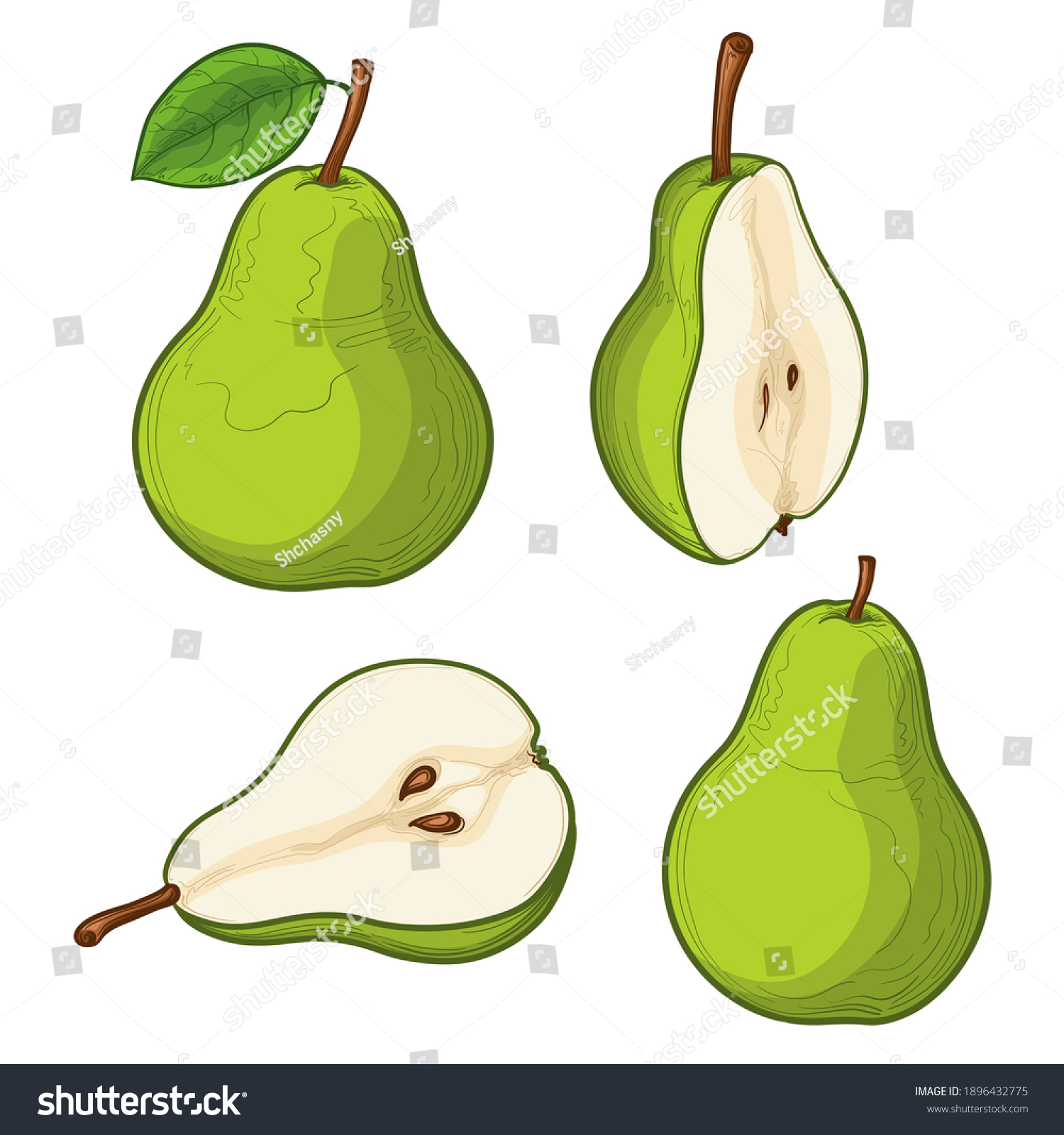 Set Colorful Pears Half Pears Isolated Stock Vector (Royalty Free ...