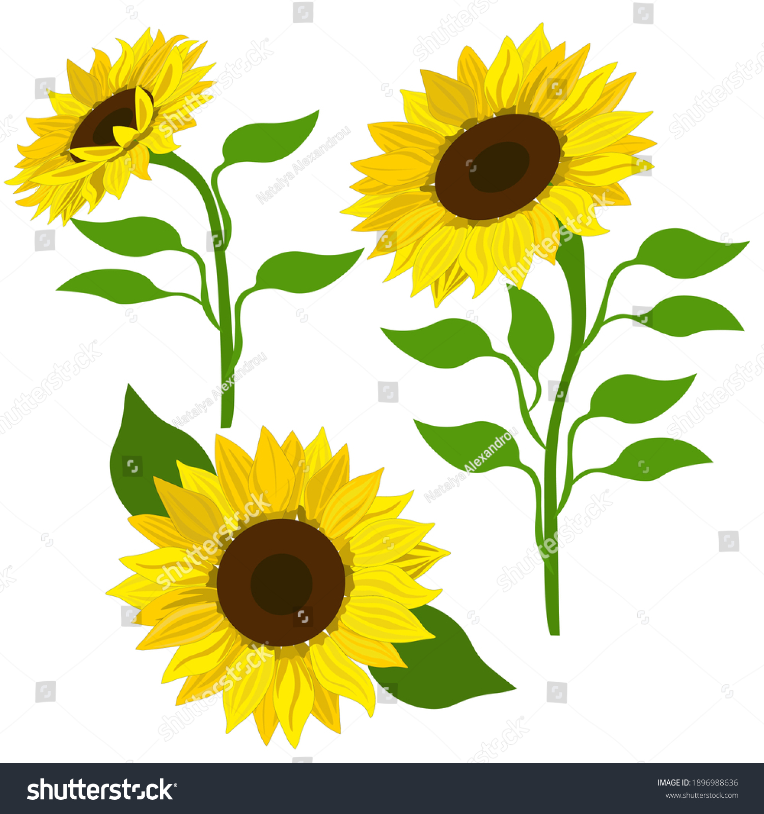 Clip Art Sunflowers Vector Sunflowers Set Stock Vector (Royalty Free ...