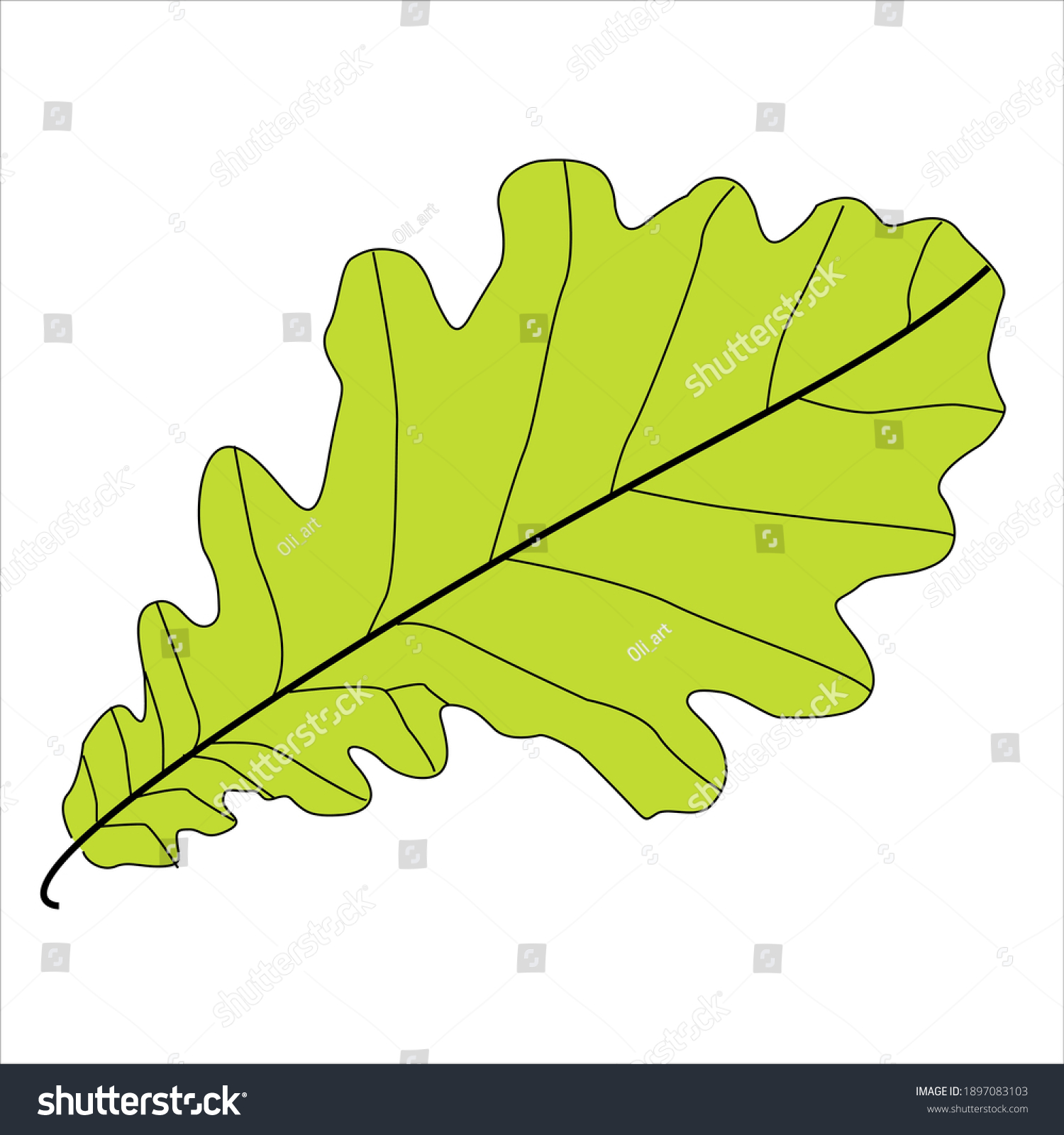 Oak Green Leaf On White Background Stock Vector (Royalty Free ...