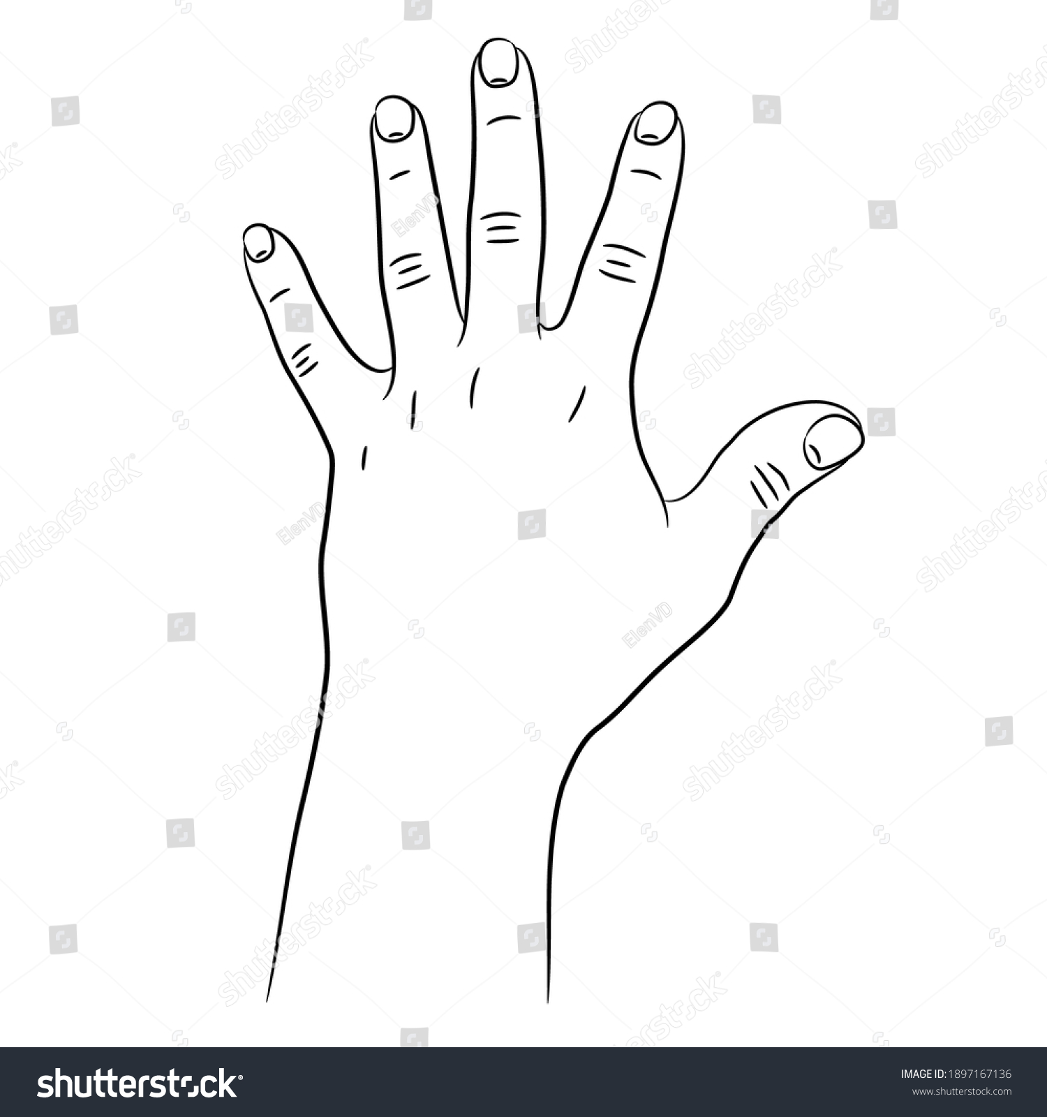 Hand Five Fingers Raised Sketch Draw Stock Vector (Royalty Free ...