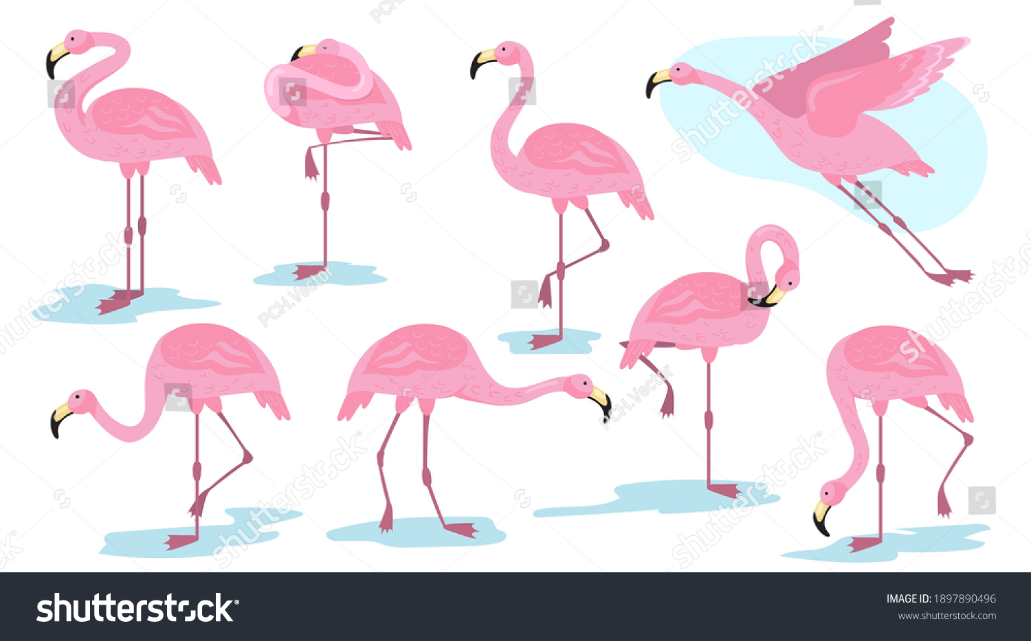 Pink Flamingo Bird Different Poses Flat Stock Vector (Royalty Free ...