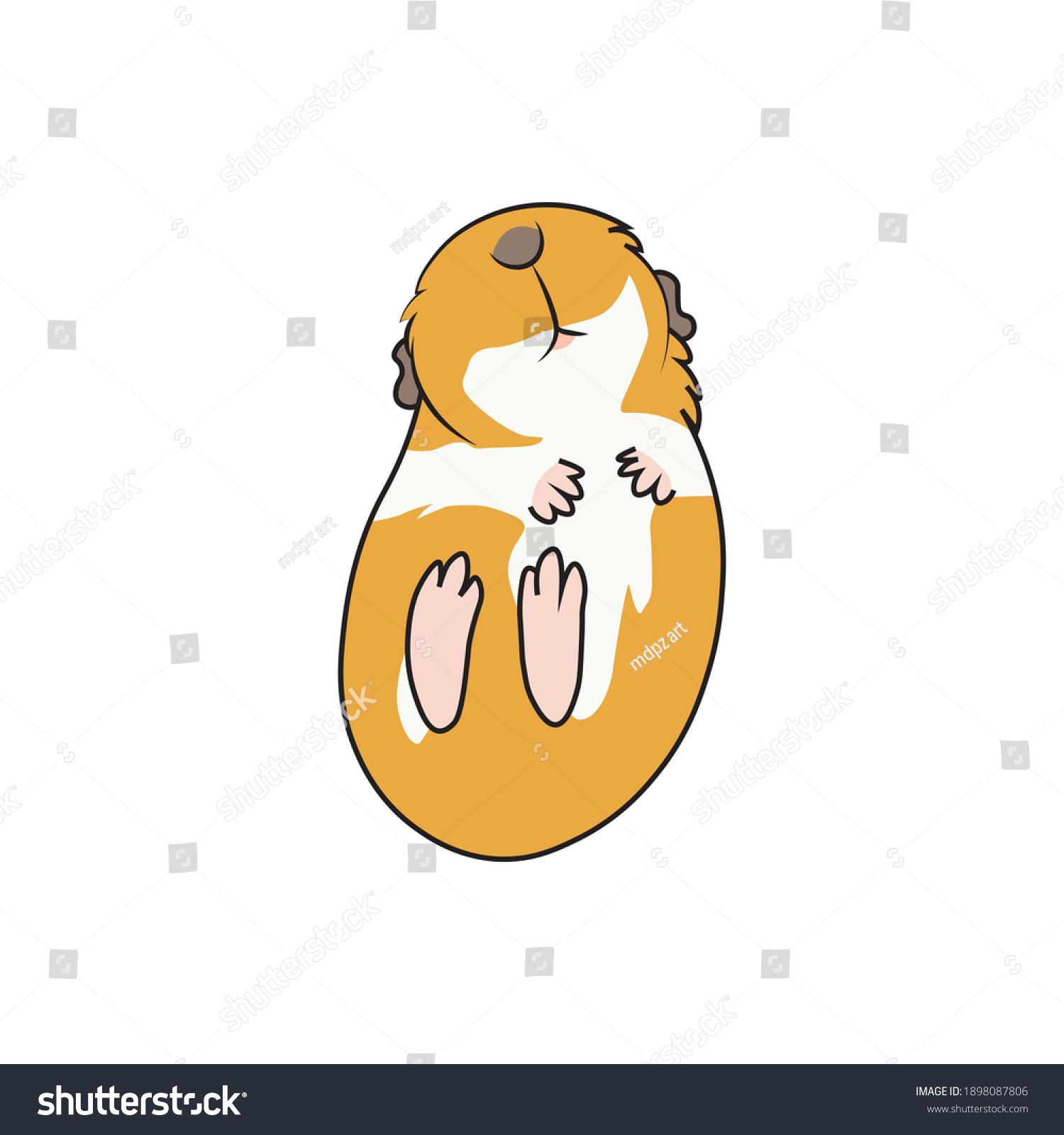 Vector Illustration Cute Kawaii Guinea Pig Stock Vector (royalty Free 