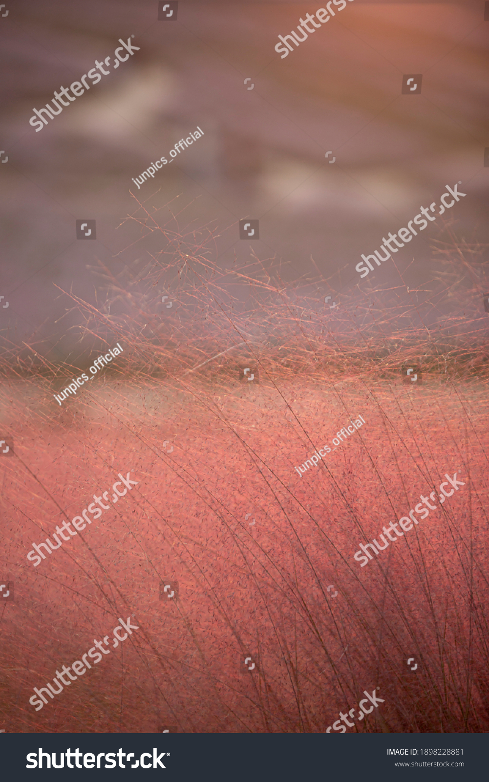 28,079 꽃 감성 이미지, 스톡 사진 및 벡터 | Shutterstock
