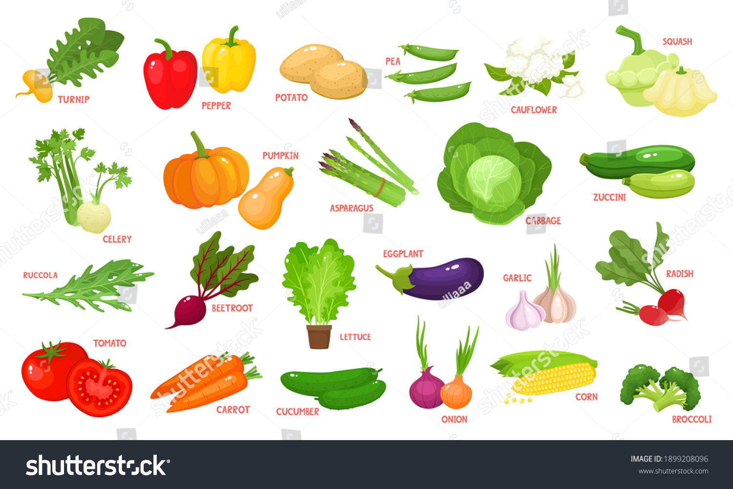 Colorful Cartoon Vegetables Icons Isolated On Stock Vector (Royalty ...