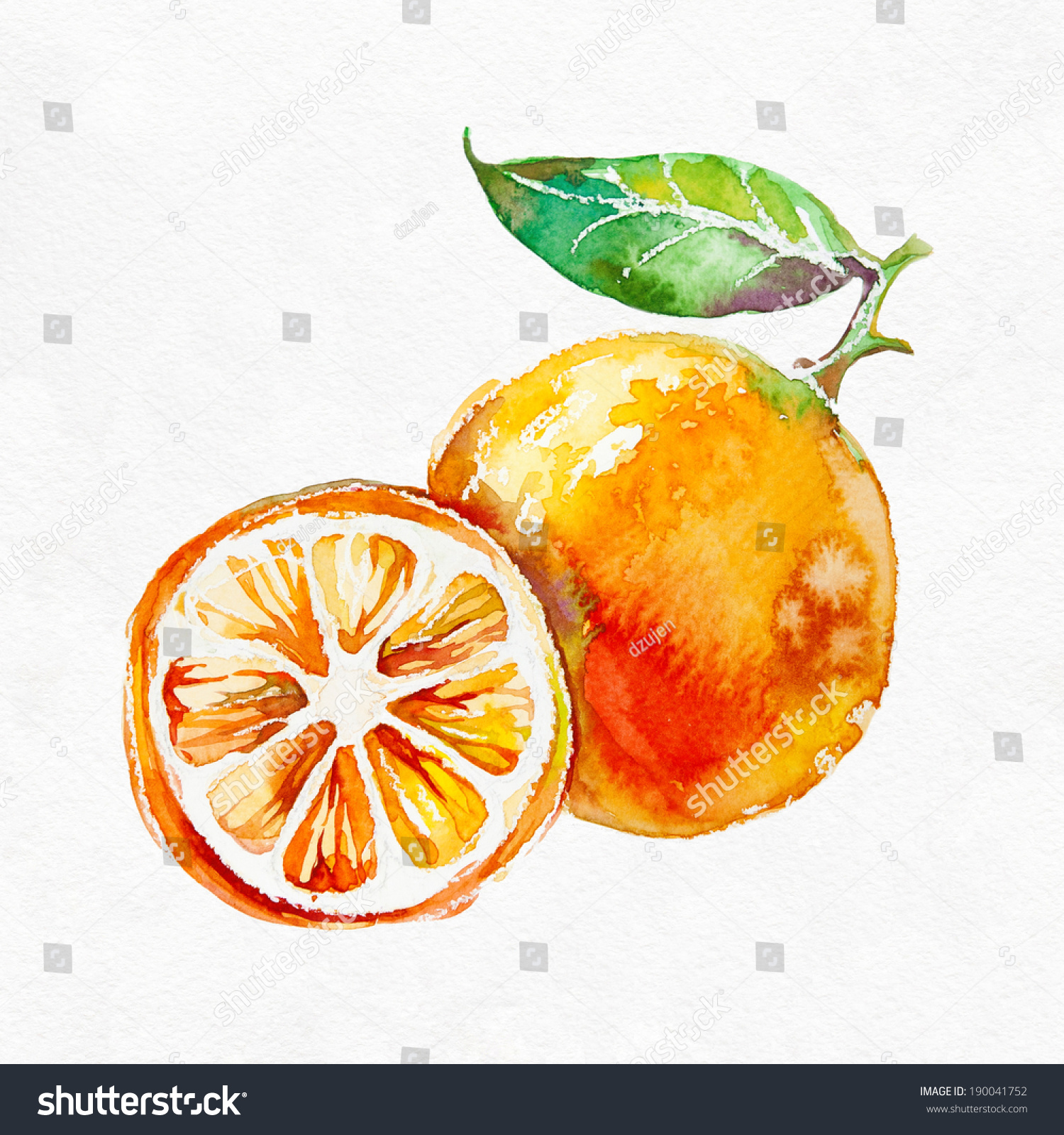 Скетчинг акварелью апельсины