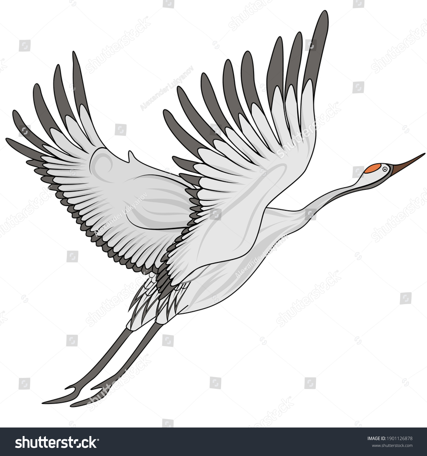 Flying Crane Vector Illustration Eps 8 Stock Vector (Royalty Free ...