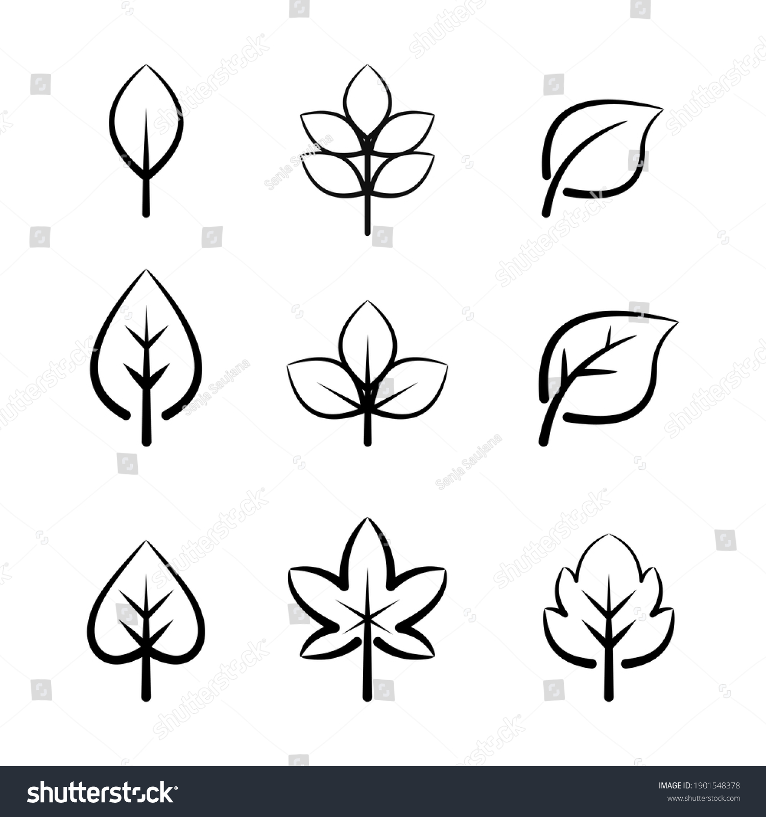 Set Tropical Line Art Leaf Collection Stock Vector (royalty Free 