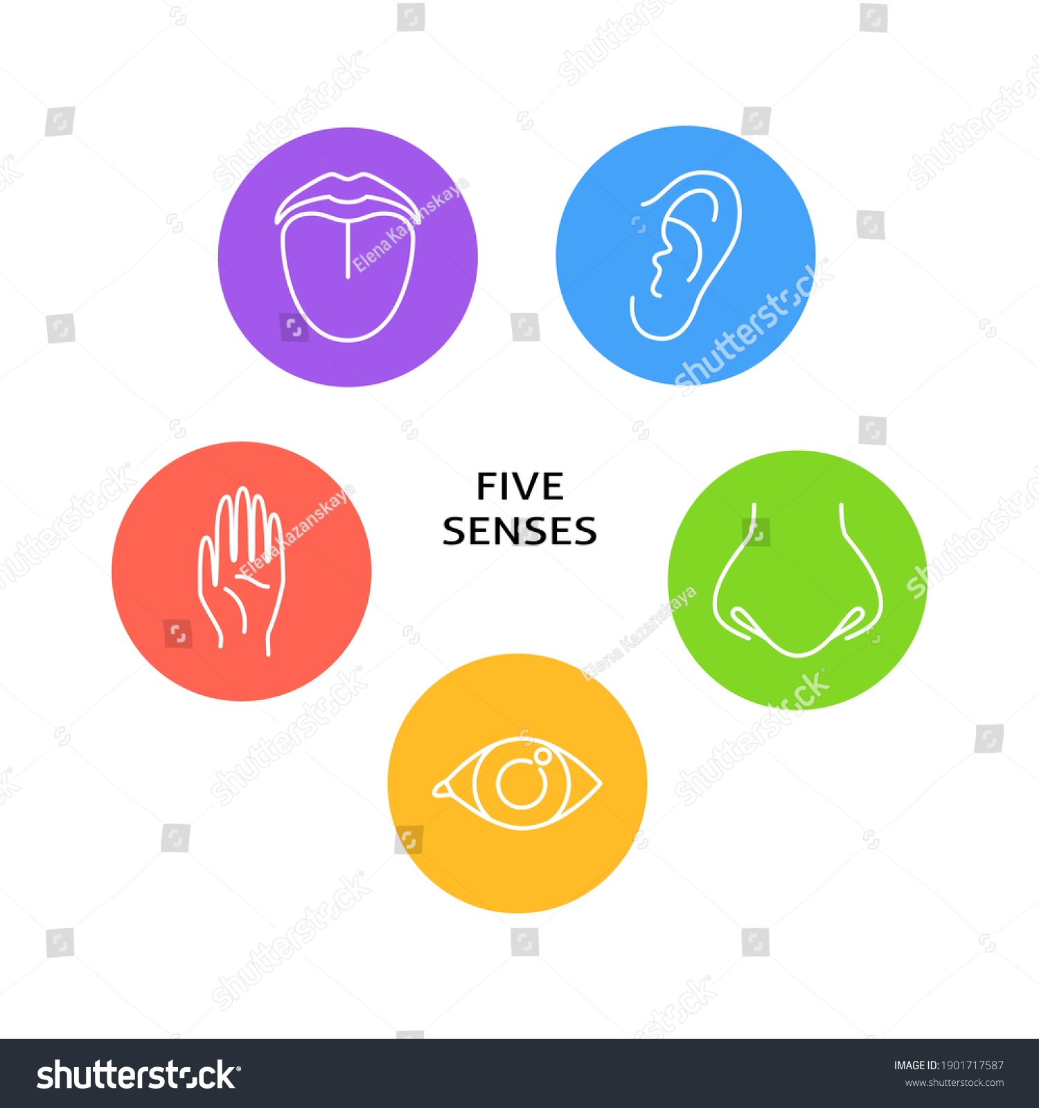 Five Senses Poster Symbols Line Style Stock Vector (Royalty Free ...