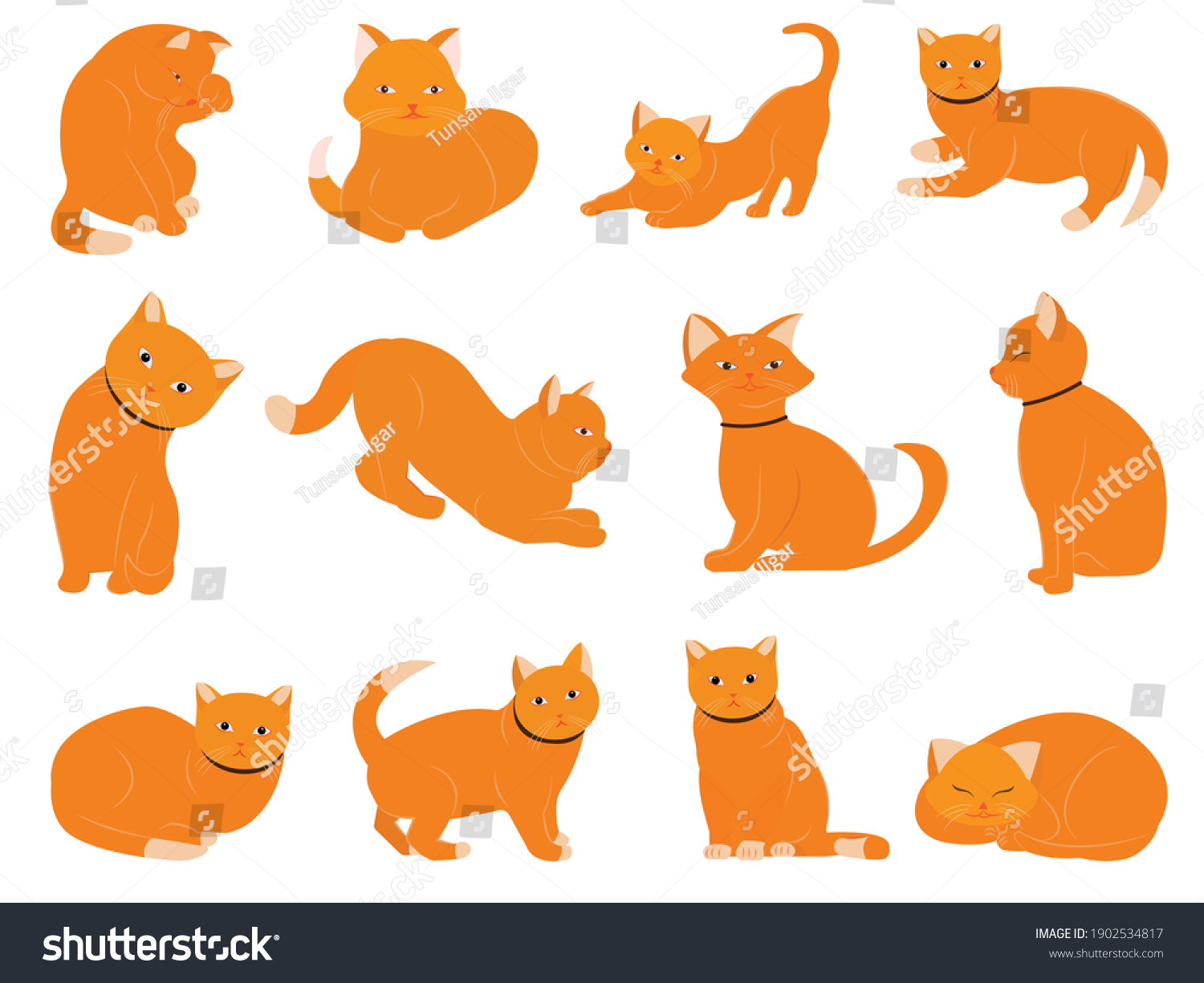 Cat Built Different Poses Emotions Cat Stock Vector (royalty Free 