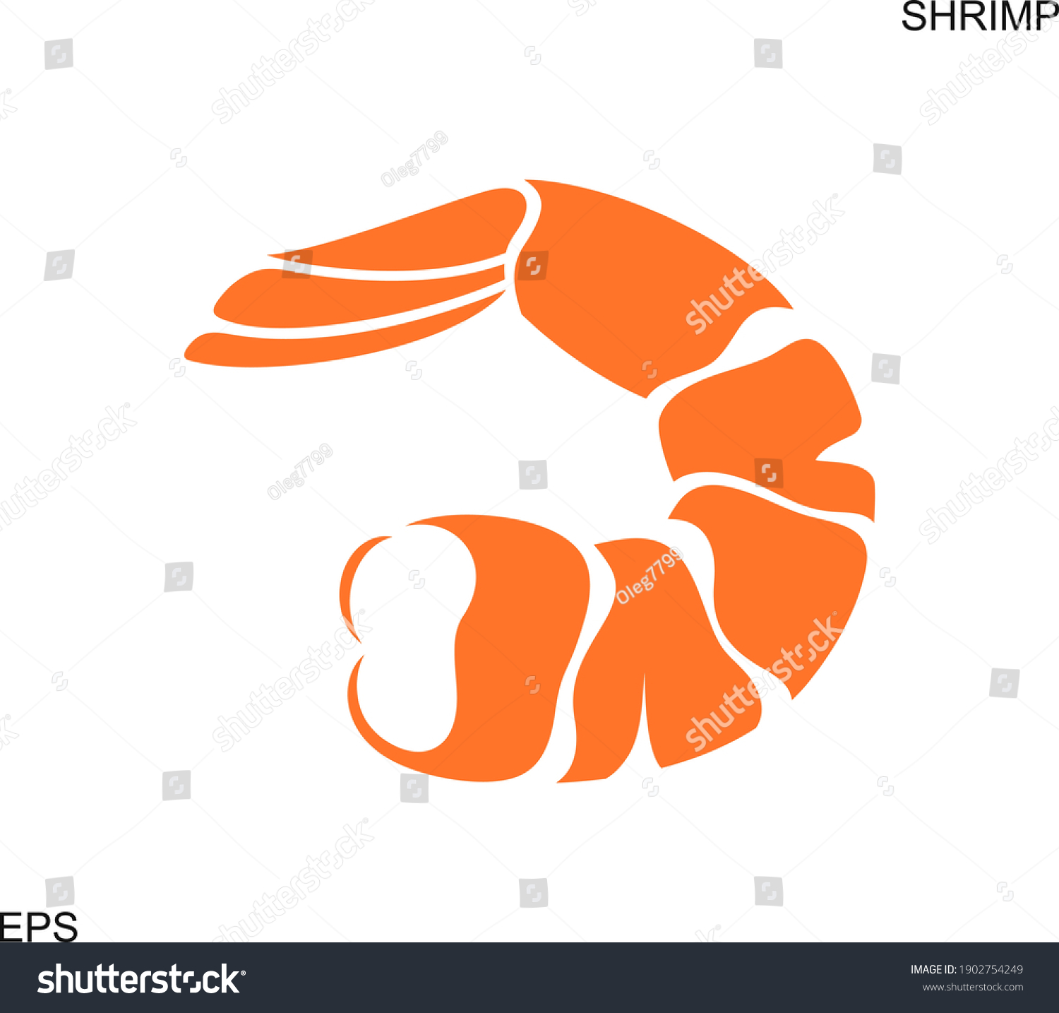 Shrimp Seafood Isolated Shrimp On White Stock Vector Royalty Free 1902754249 Shutterstock 3691