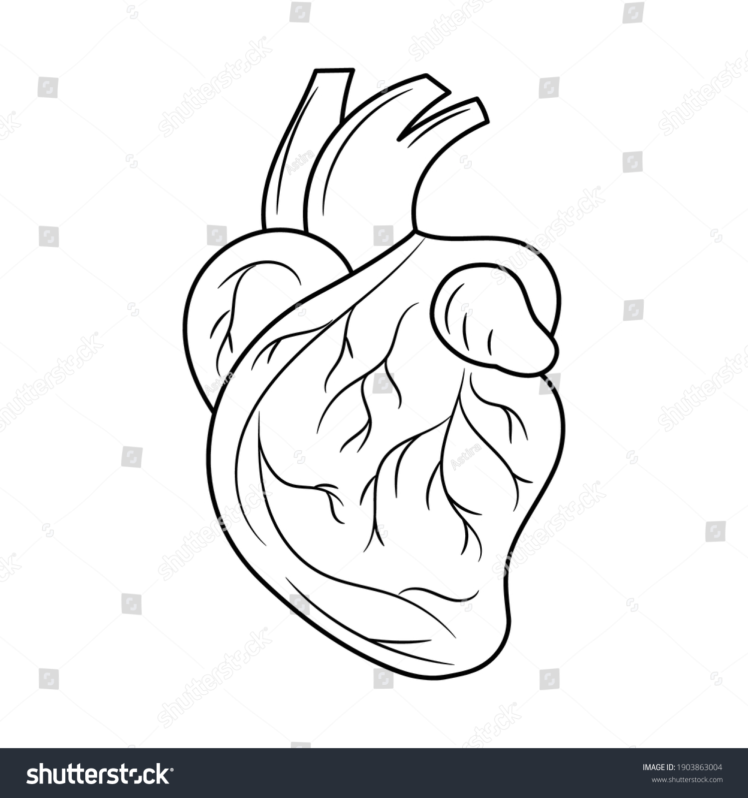 Heart Vector Line Art Black White Stock Vector (royalty Free 