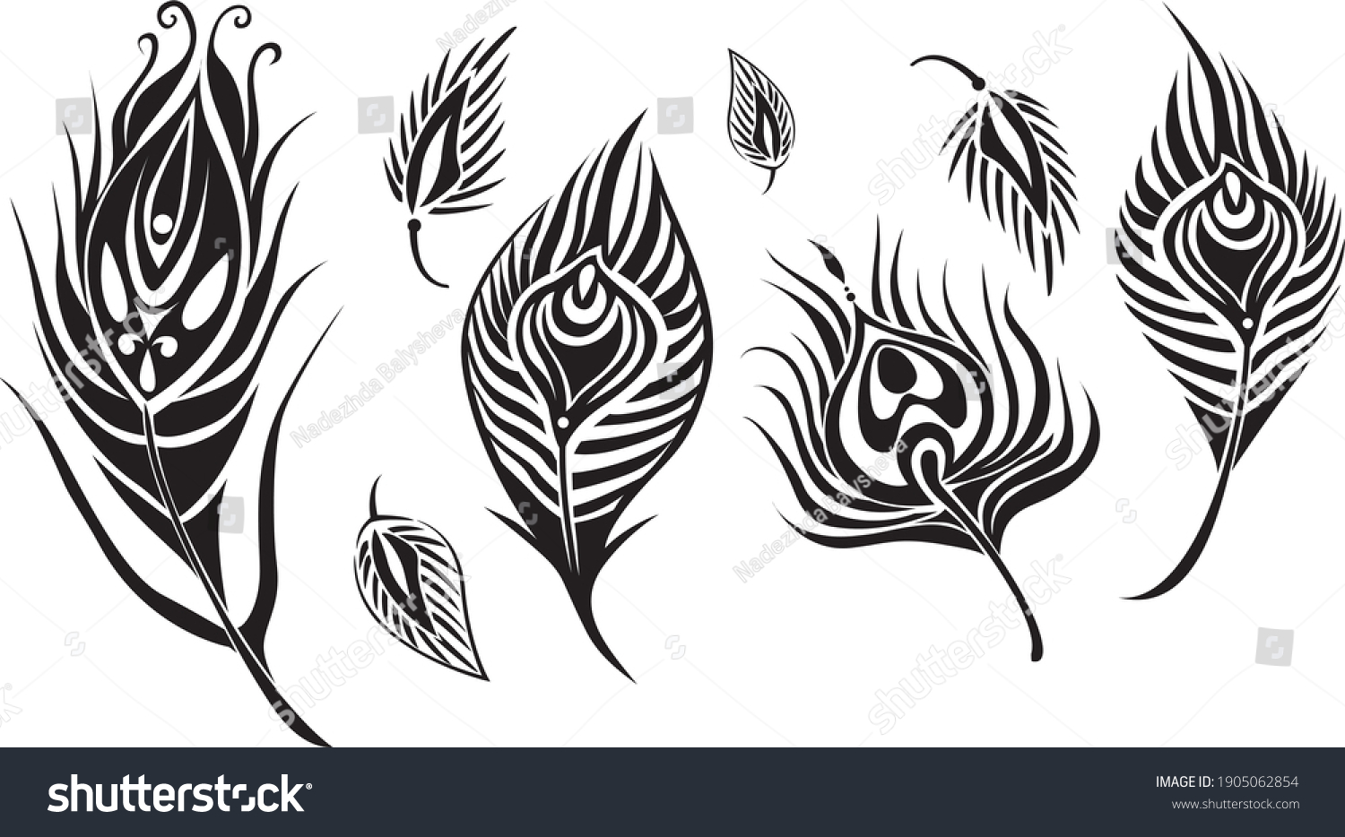 Set Decorative Exotic Peacock Feathers Stock Vector (Royalty Free ...