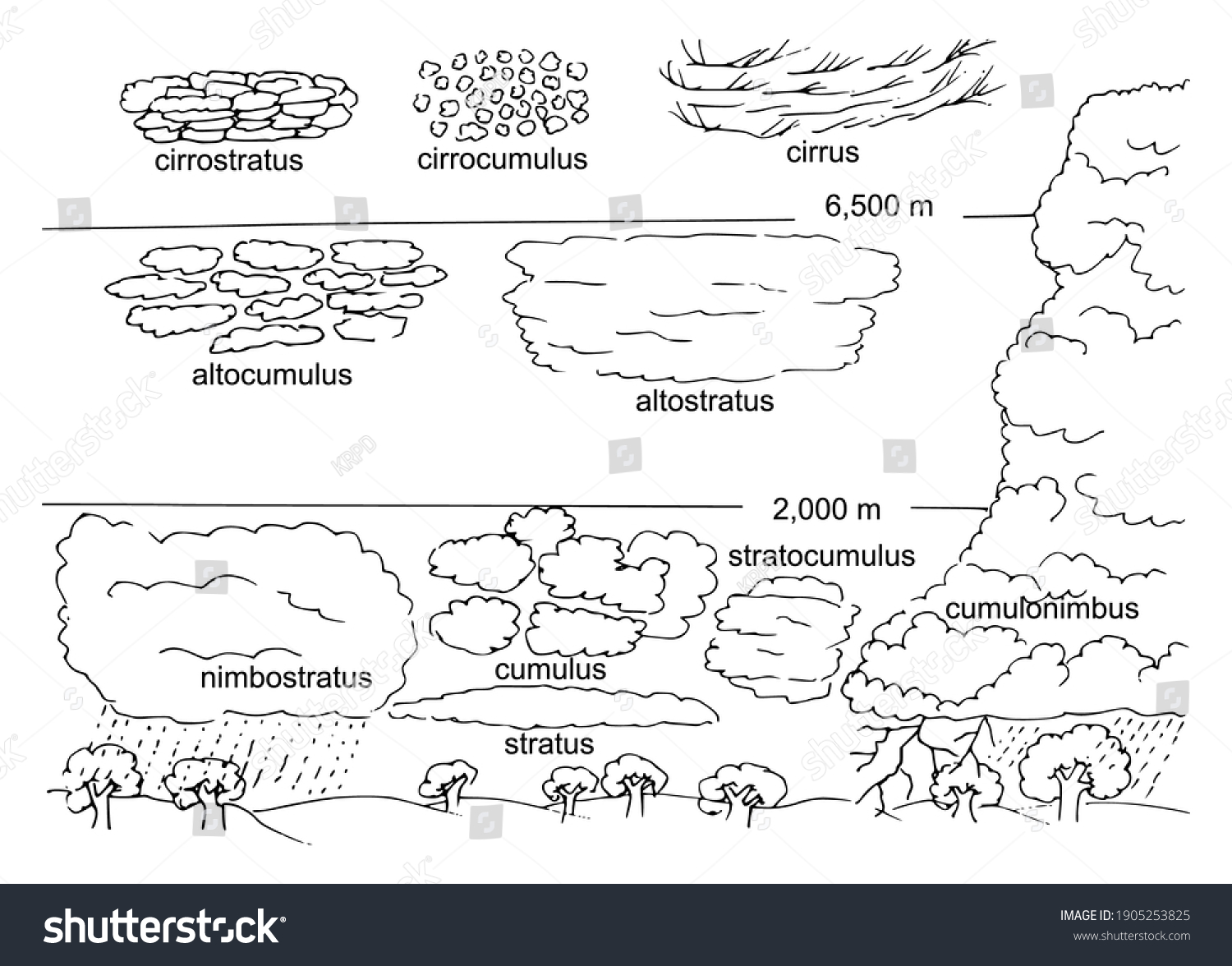 Vector Illustration Cloud Types Various Clouds Stock Vector (Royalty ...