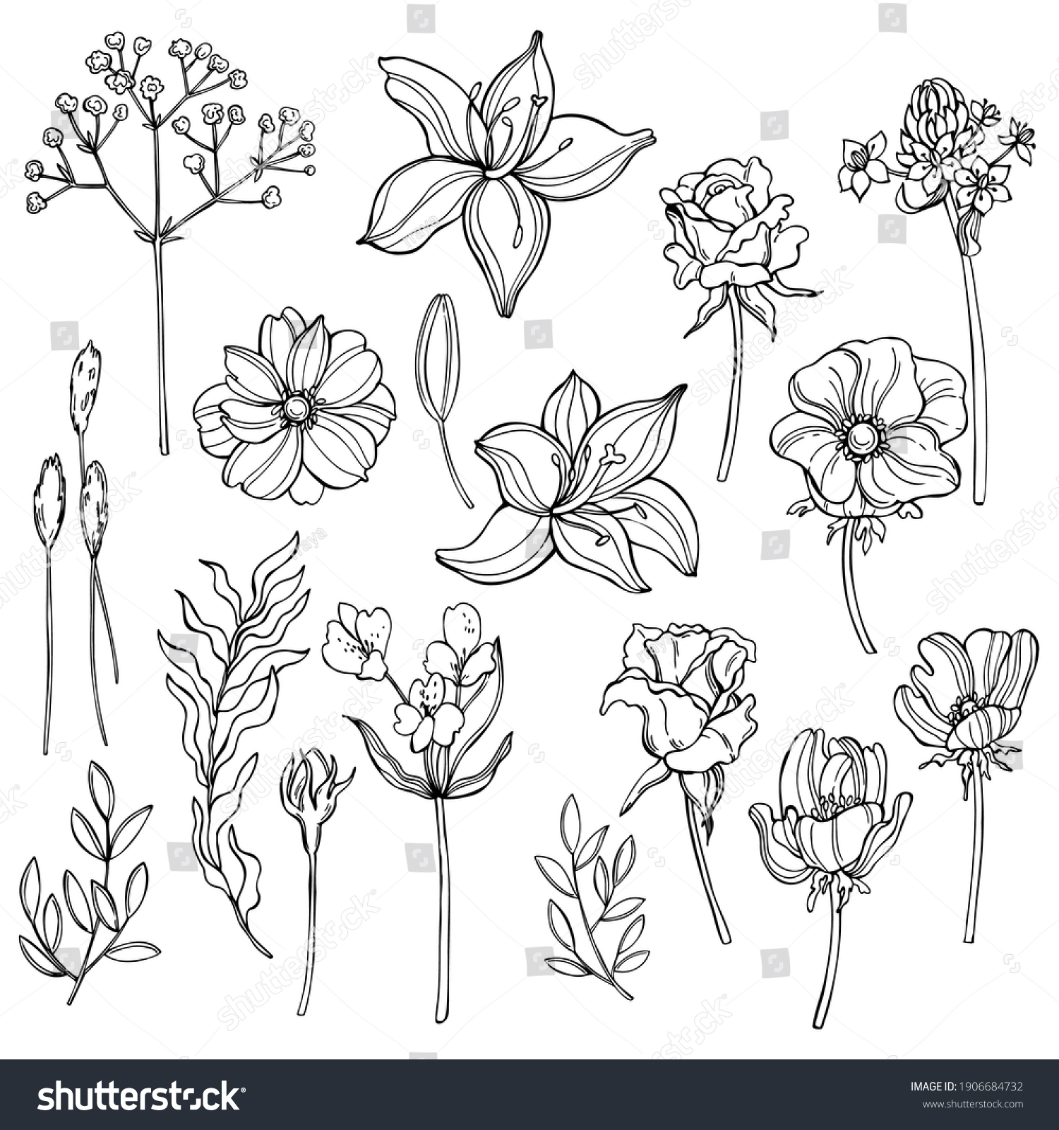 788,610 Rose Drawing Images, Stock Photos & Vectors | Shutterstock