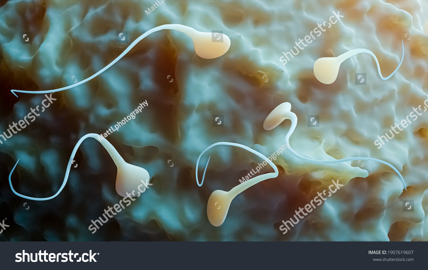 как выводится сперма из организма фото 110