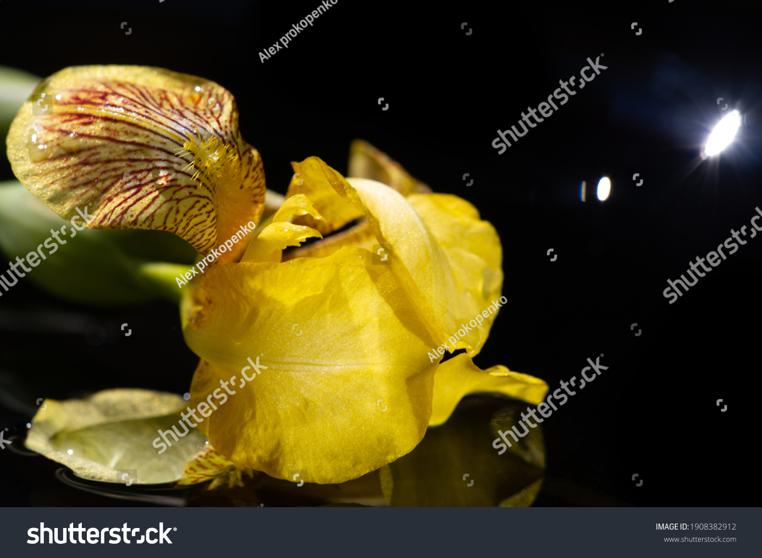 name-iris-greek-word-rainbow-greeks-stock-photo-1908382912-shutterstock