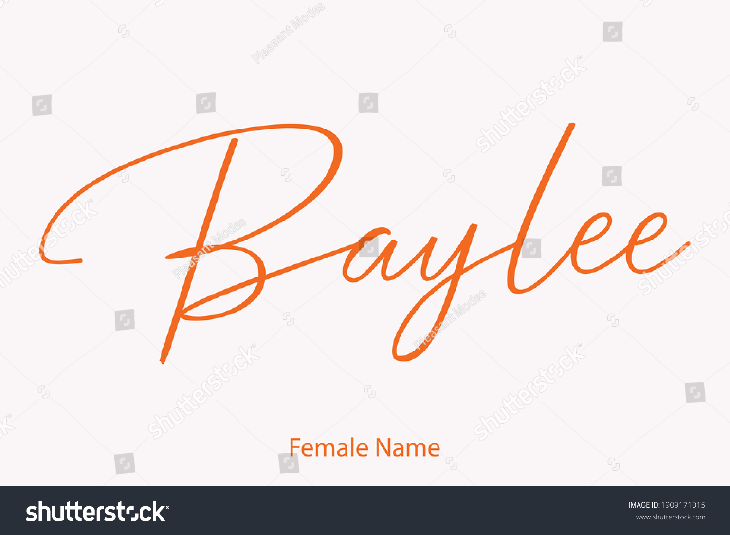 female-name-baylee-stylish-lettering-cursive-stock-vector-royalty-free