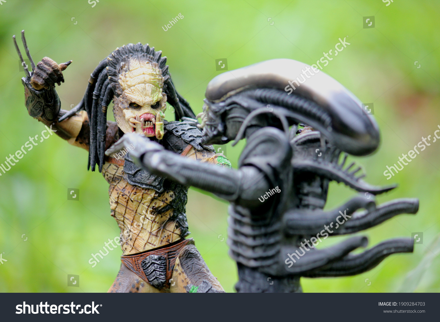 alien vs predator predator