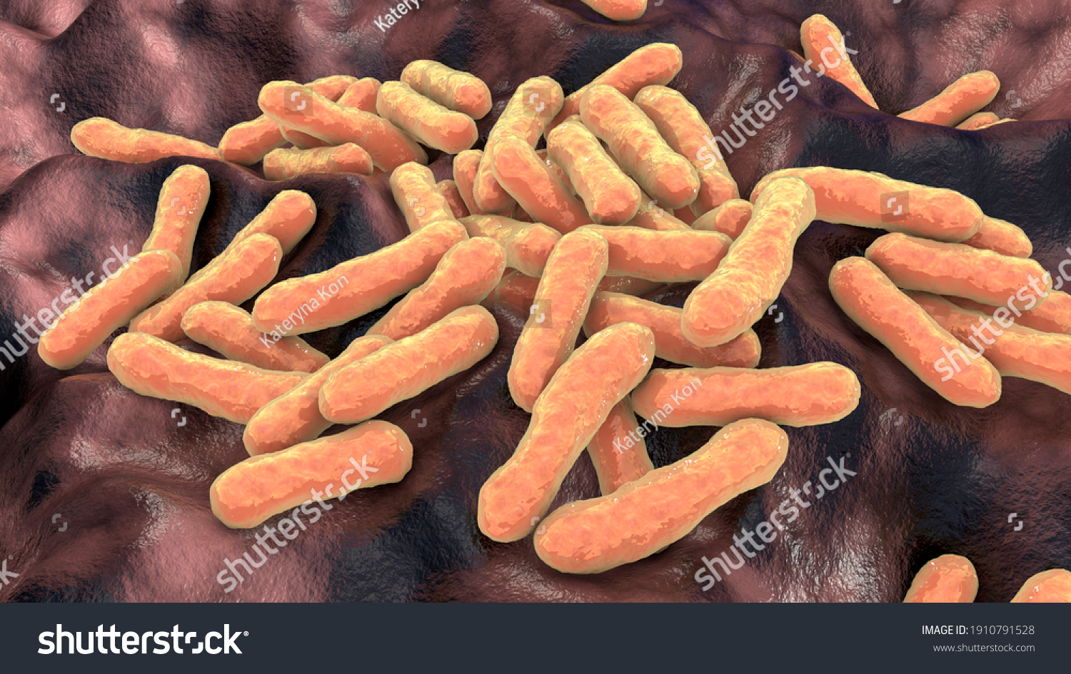 Cutibacterium Acnes Formely Propionibacterium Acnes 3d Stock ...