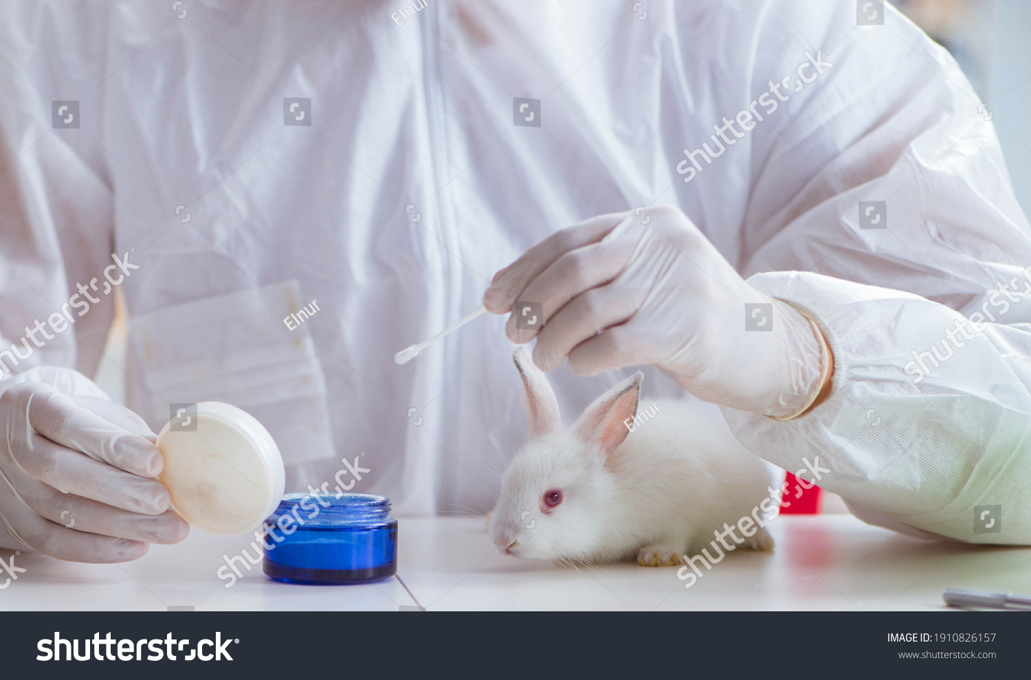 Эксперименты на животных кролик