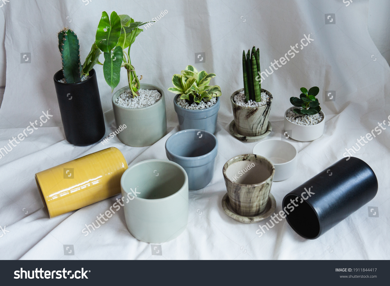 Minimalist Plant Pots Limnophytes Tropical Plants Stock Photo