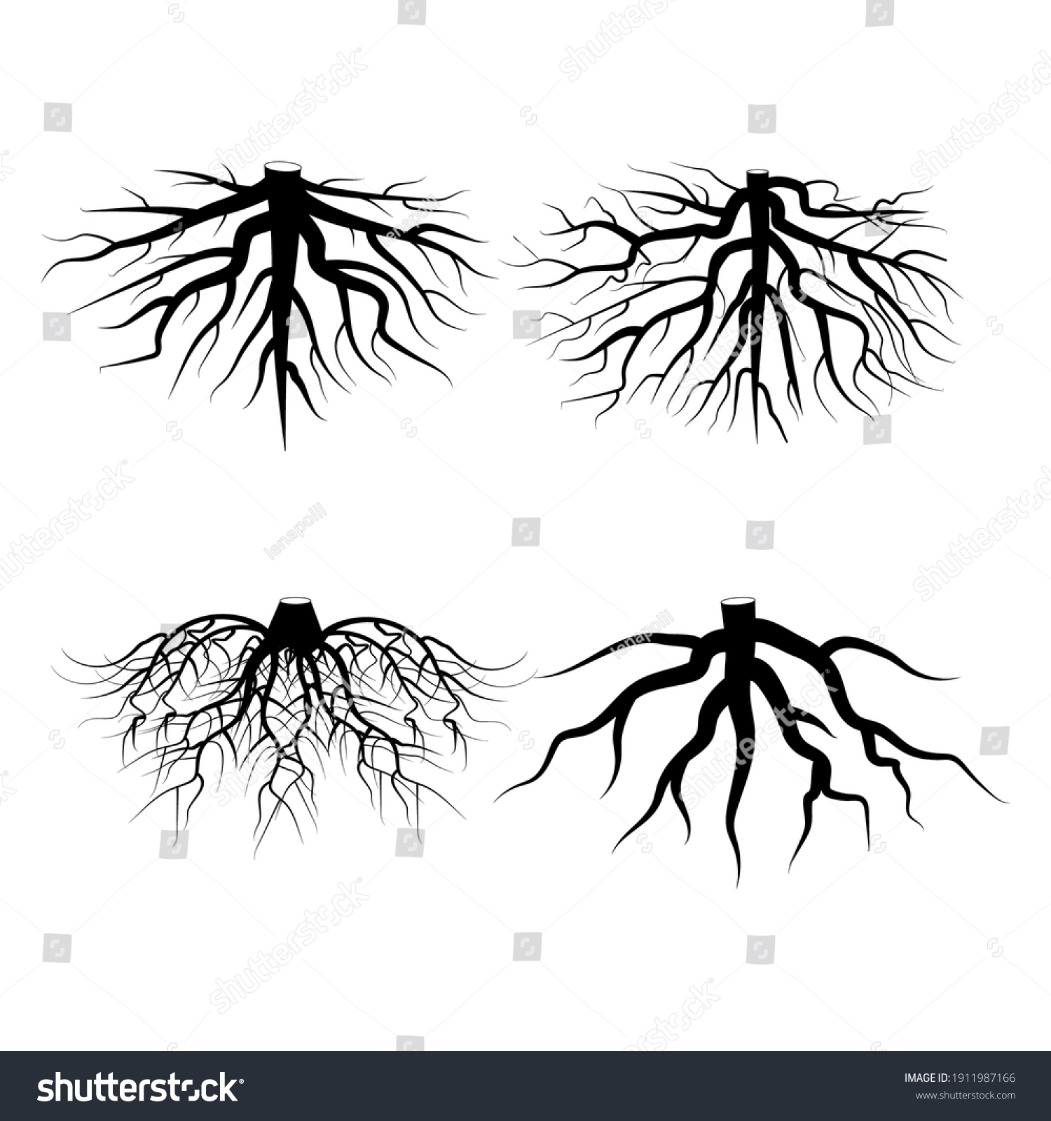 Roots On White Background Nature Illustration Stock Vector (Royalty ...