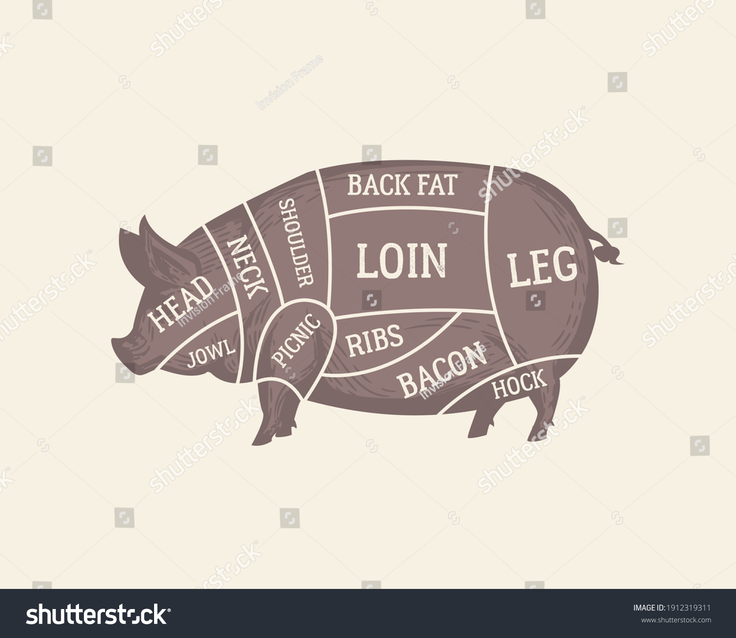 Cuts Pork Diagram Butchers Guide Poster Stock Vector (Royalty Free ...