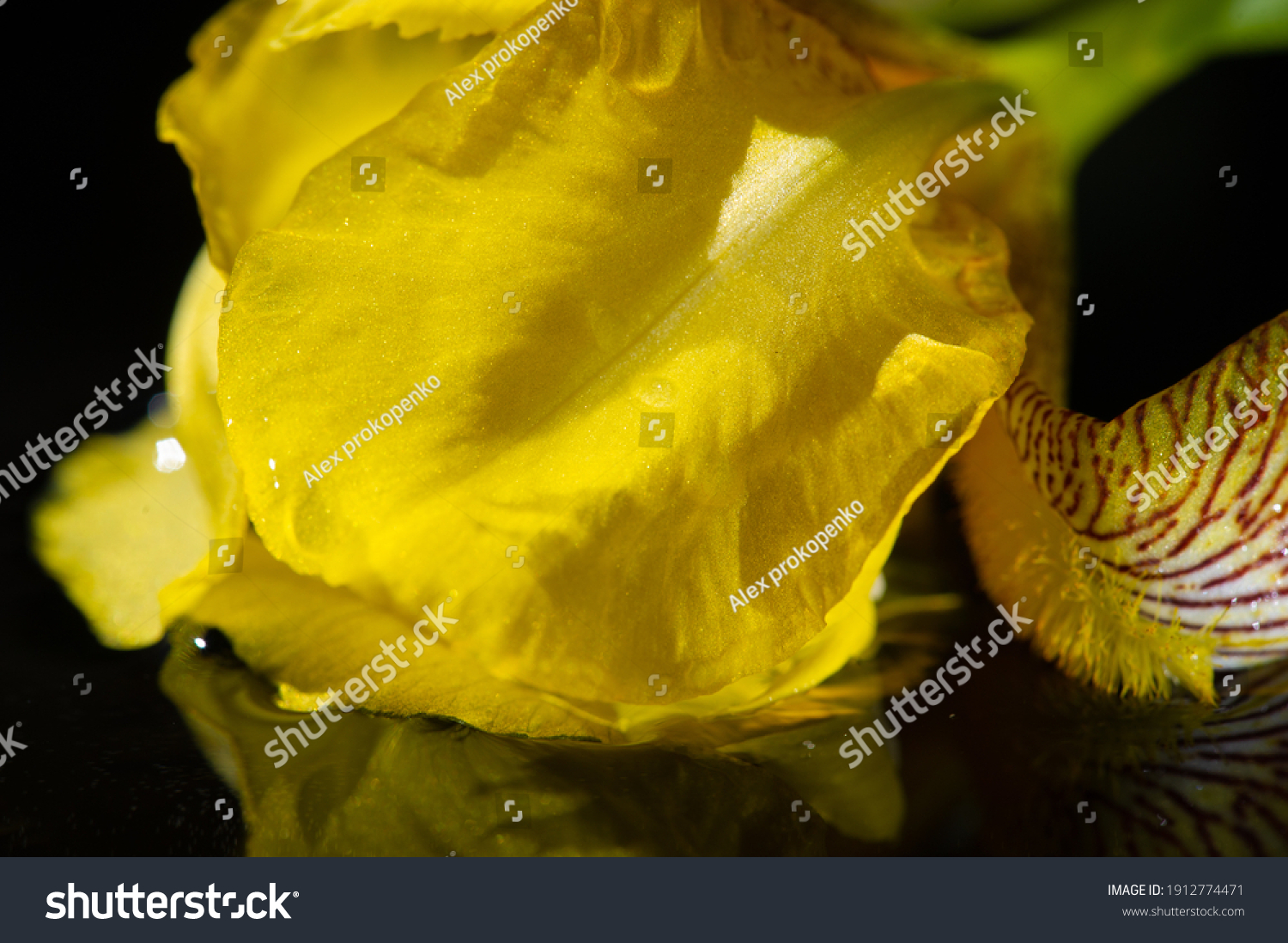 name-iris-greek-word-rainbow-greeks-stock-photo-1912774471-shutterstock