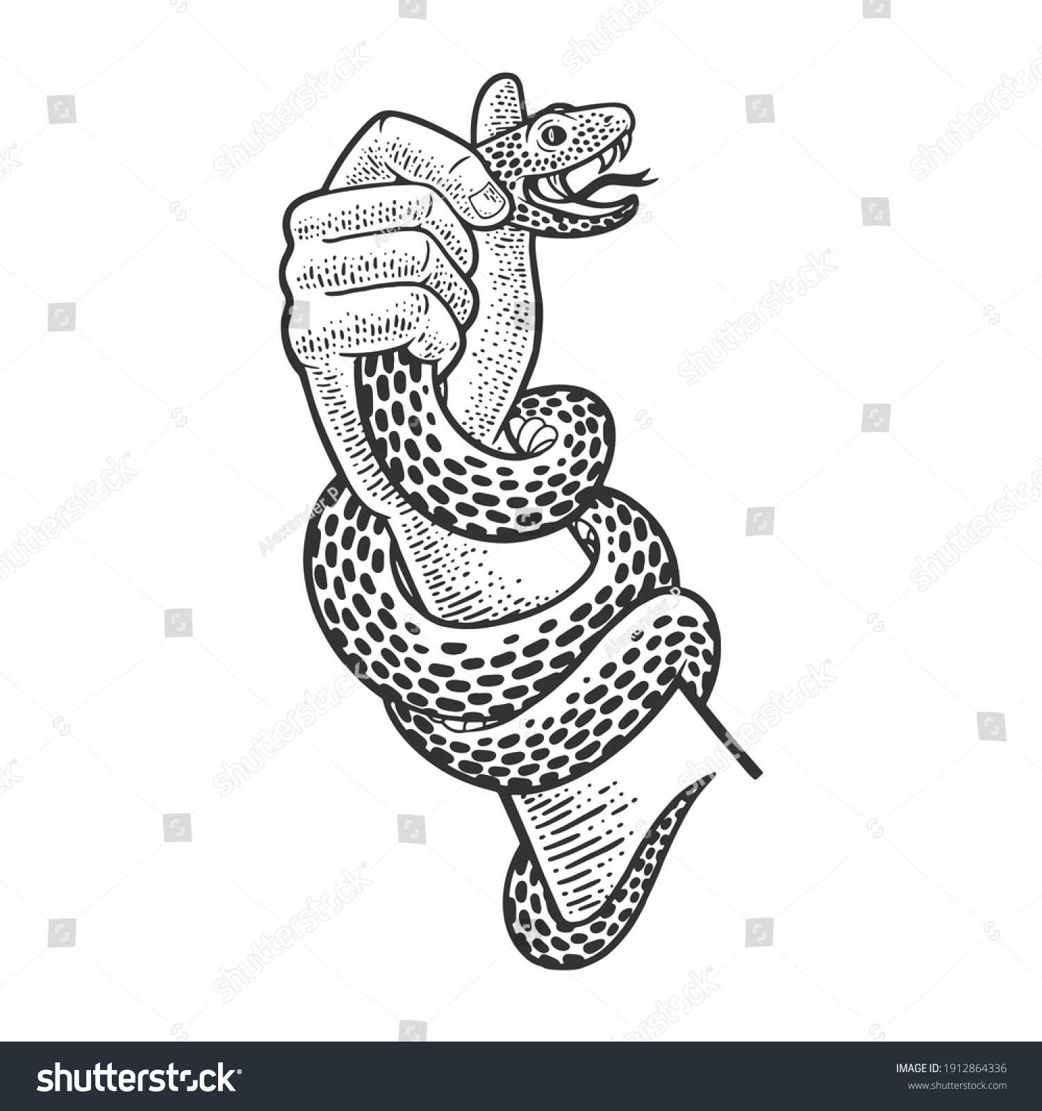 Hand Holding Snake Sketch Engraving Vector Stock Vector (Royalty Free ...