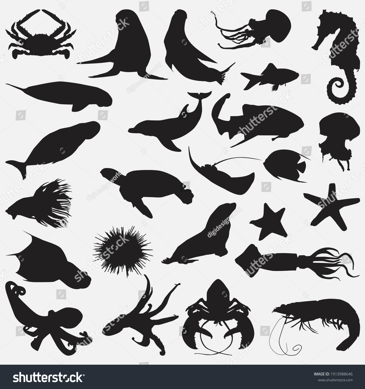 Illustration Fish Collection Isolated On White Stock Vector (Royalty ...