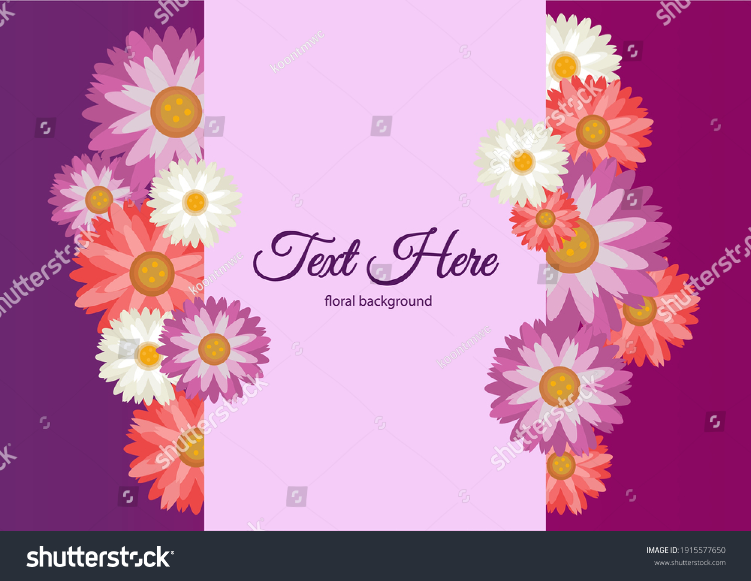 Floral Pink Purpul White Daisy Background Stock Vector (Royalty Free ...