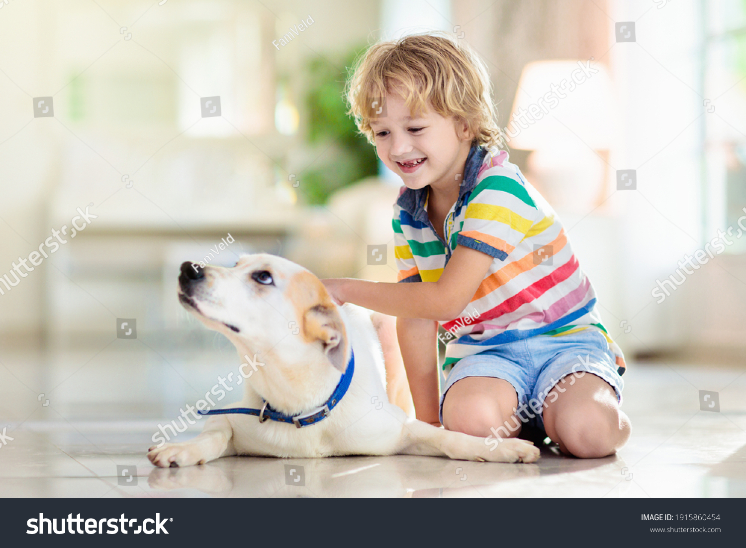 Child Playing Baby Dog Kids Play Stock Photo 1915860454 | Shutterstock