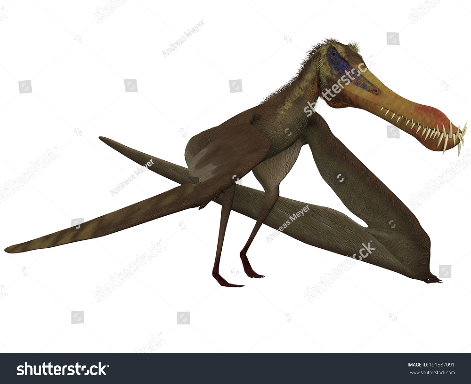 dinosaur king anhanguera