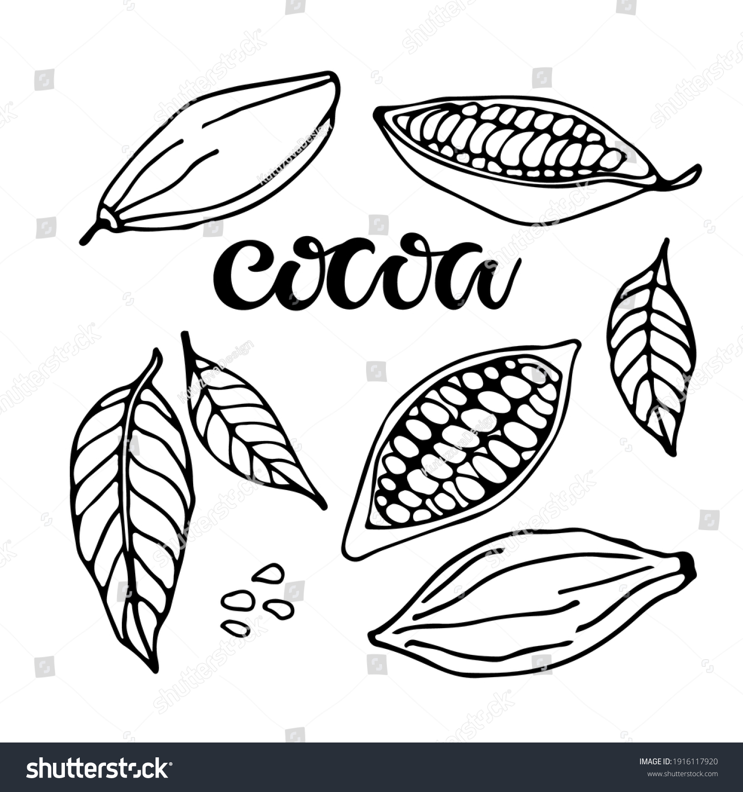 Cocoa Set Hand Drawn Vector Cocoa Stock Vector (Royalty Free ...