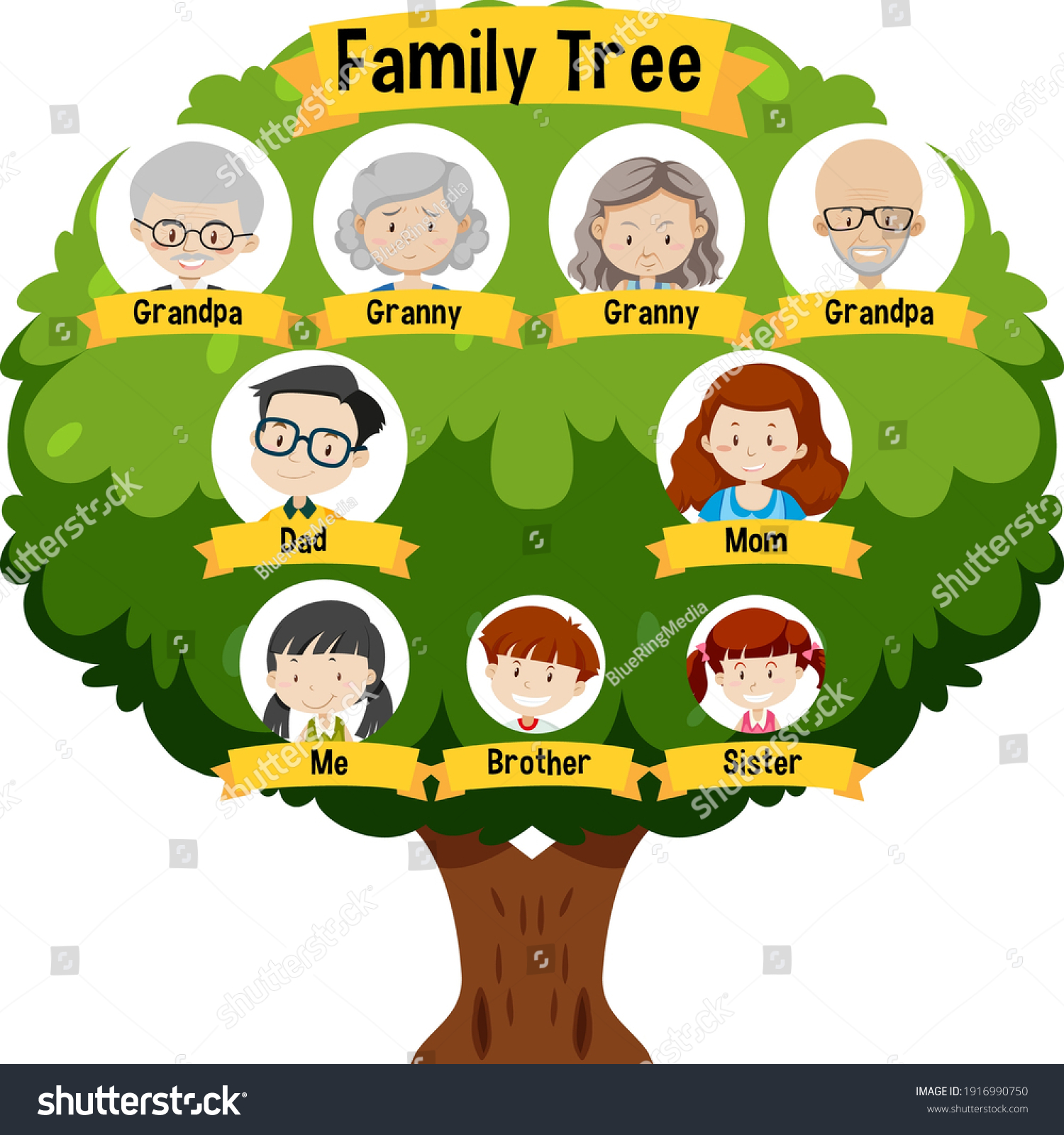 Diagram Showing Three Generation Family Tree Stock Vector (Royalty Free ...